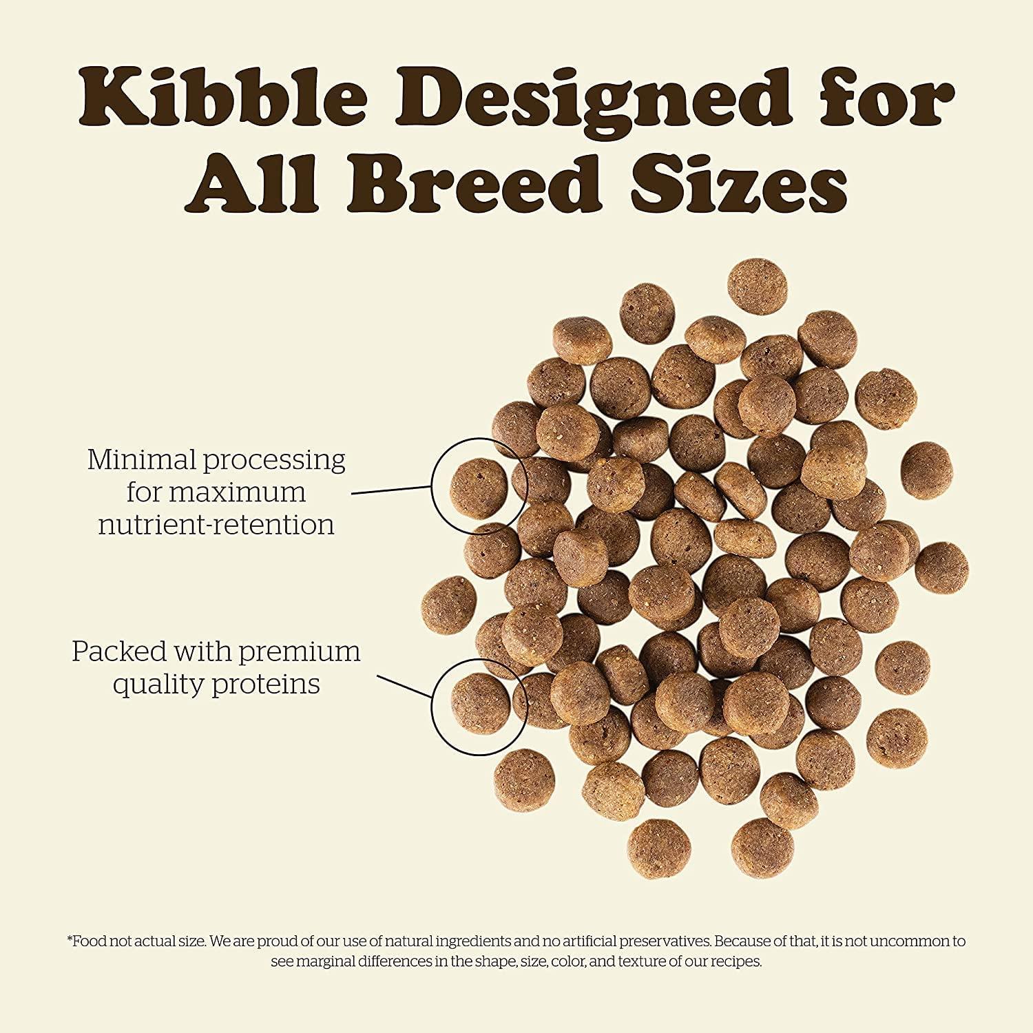 Now Fresh Grain Free Puppy Turkey, Salmon, & Duck Recipe - Image 6