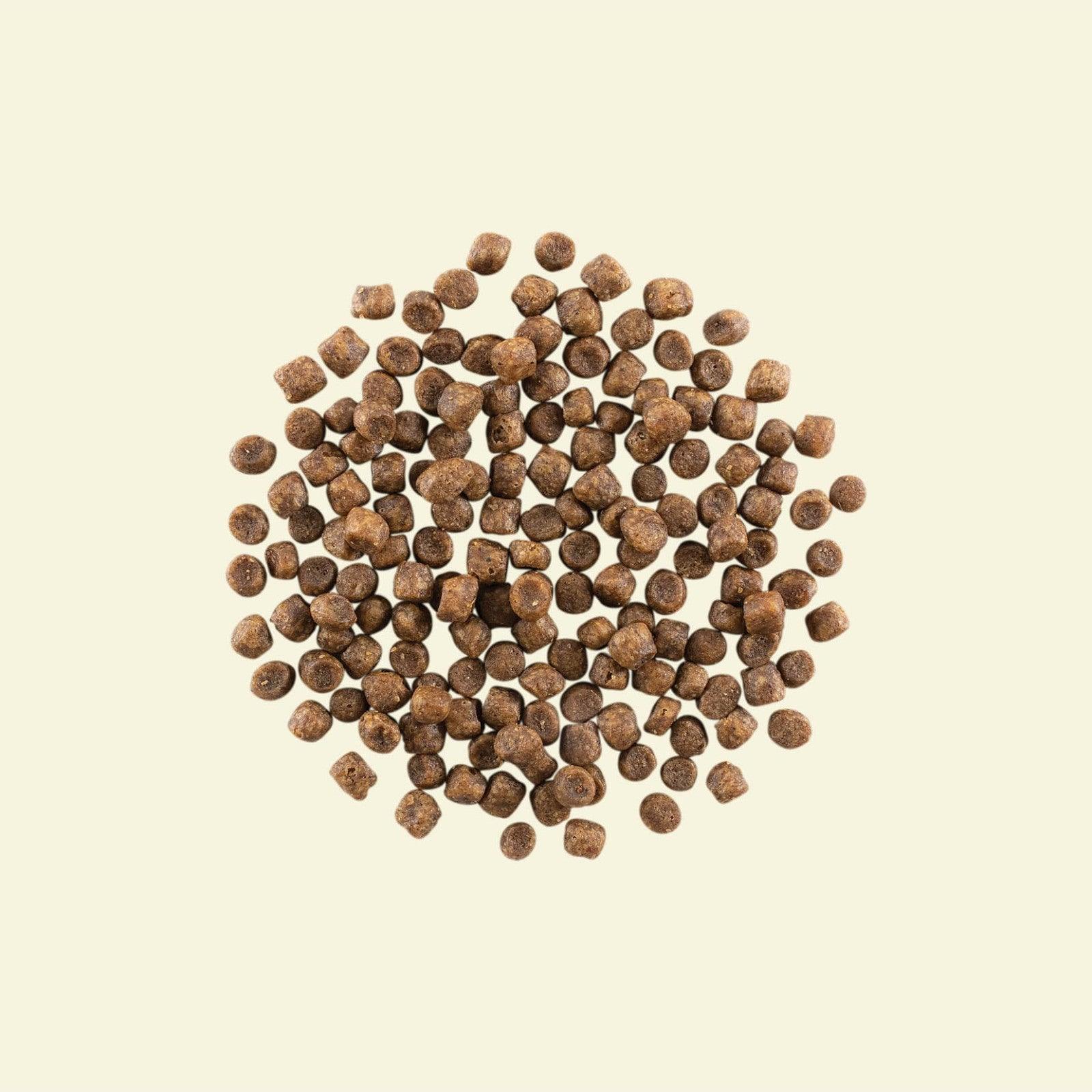 Now Fresh Grain Free Recipe With Turkey, Salmon, Duck for Adult Cats - Image 3