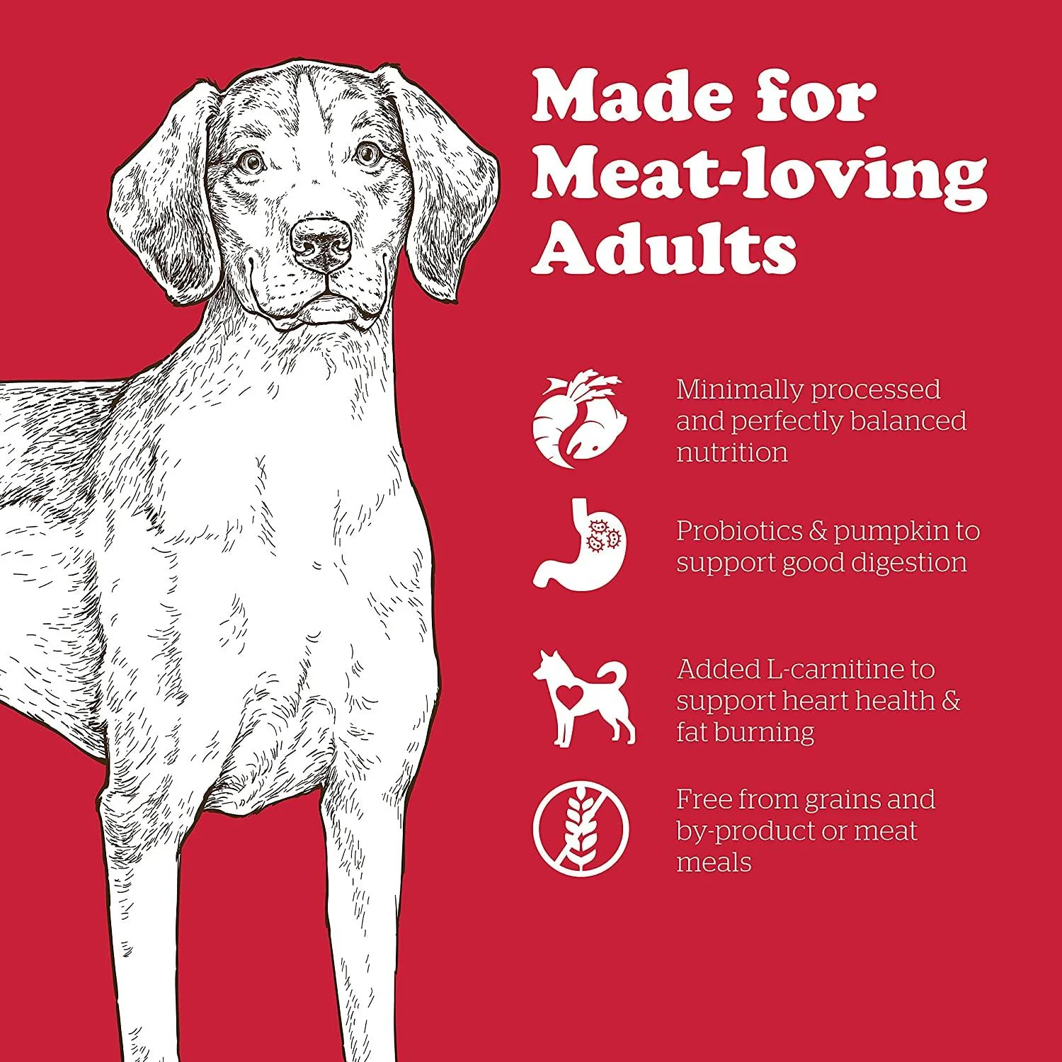 Now Fresh Grain Free Red Meat Adult Recipe for dogs - Image 3