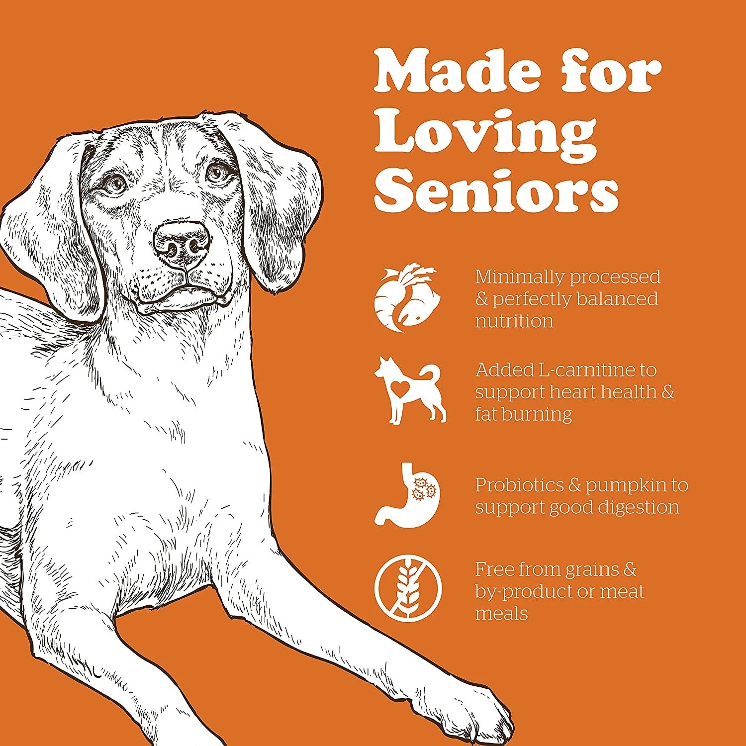Now Fresh Grain Free Senior Turkey, Salmon, & Duck Recipe for dogs - Image 3