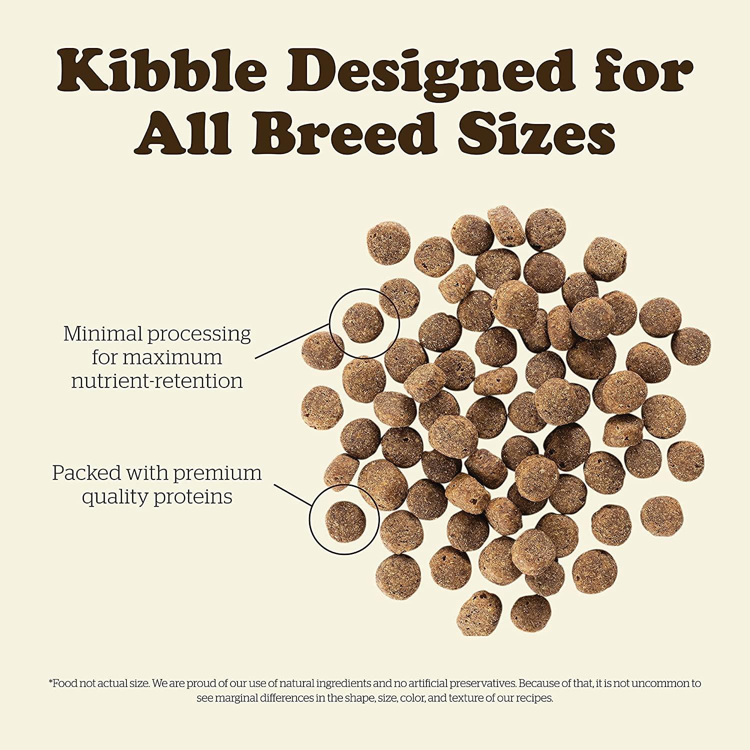 Now Fresh Grain Free Senior Turkey, Salmon, & Duck Recipe for dogs - Image 6