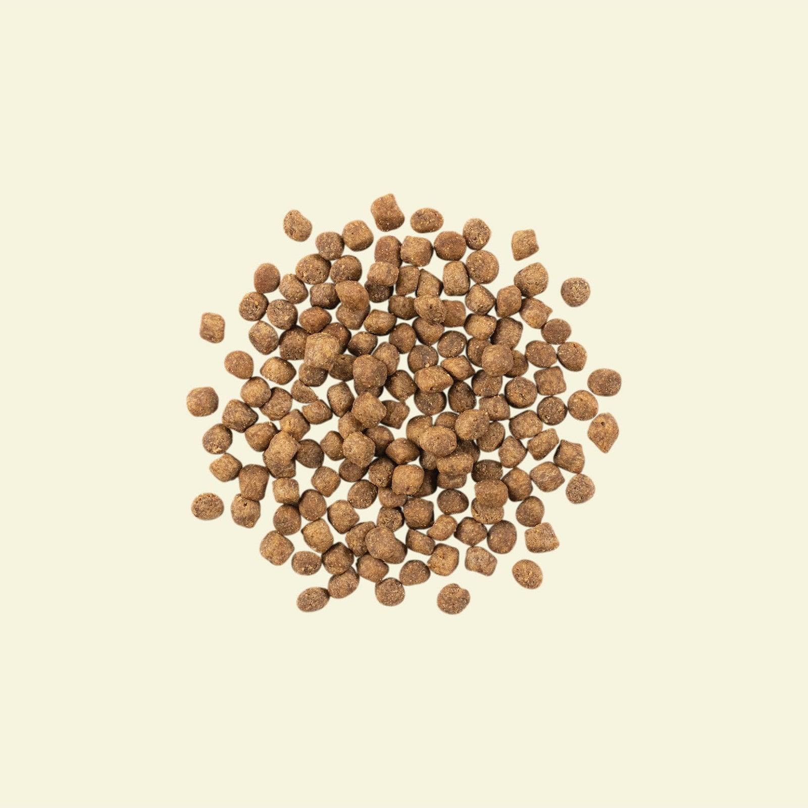Now Fresh Grain Free Senior Weight Management Recipe For Cats - Image 4