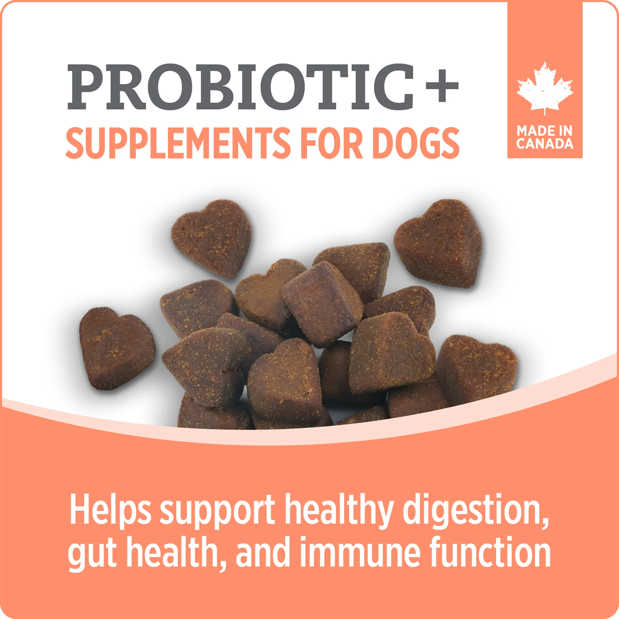 Nutrience Care Probiotic+ Supplement for Dogs - Image 3
