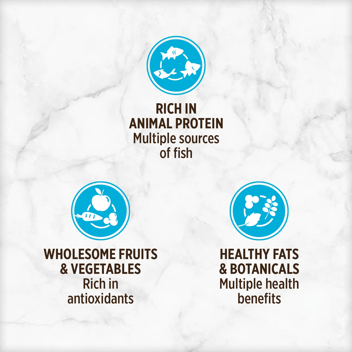 Nutrience Grain Free Canned Dog Food Oceanfish Pate - Image 3