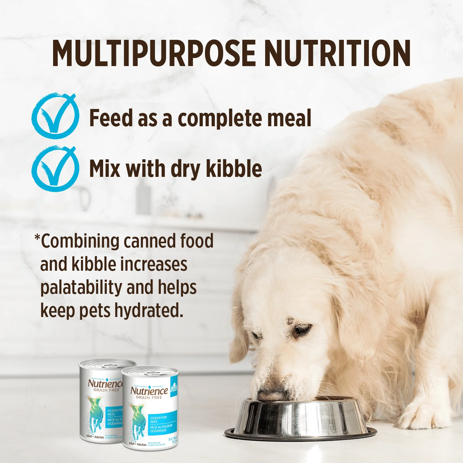 Nutrience Grain Free Canned Dog Food Oceanfish Pate - Image 4