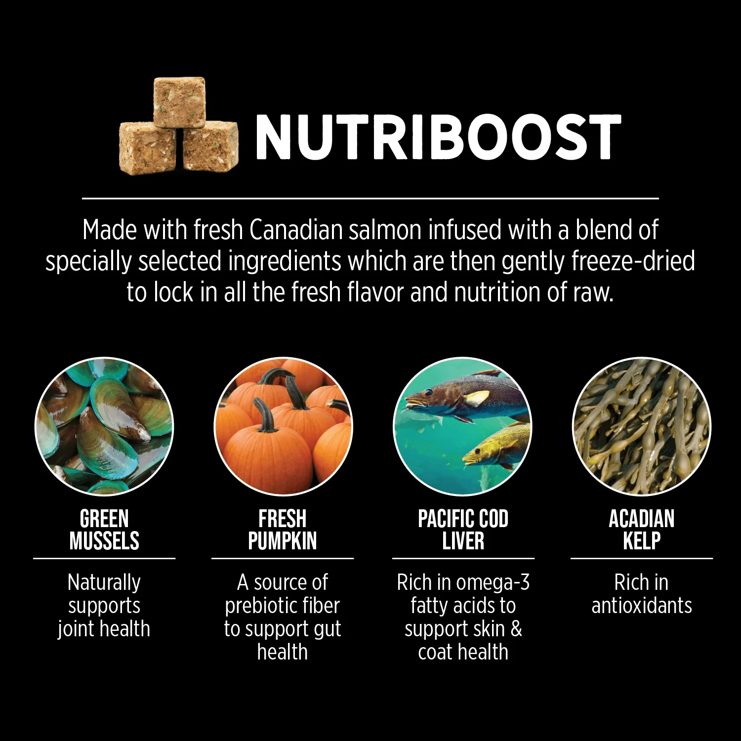 Nutrience Grain Free Cat Food SubZero Canadian Pacific - Image 5