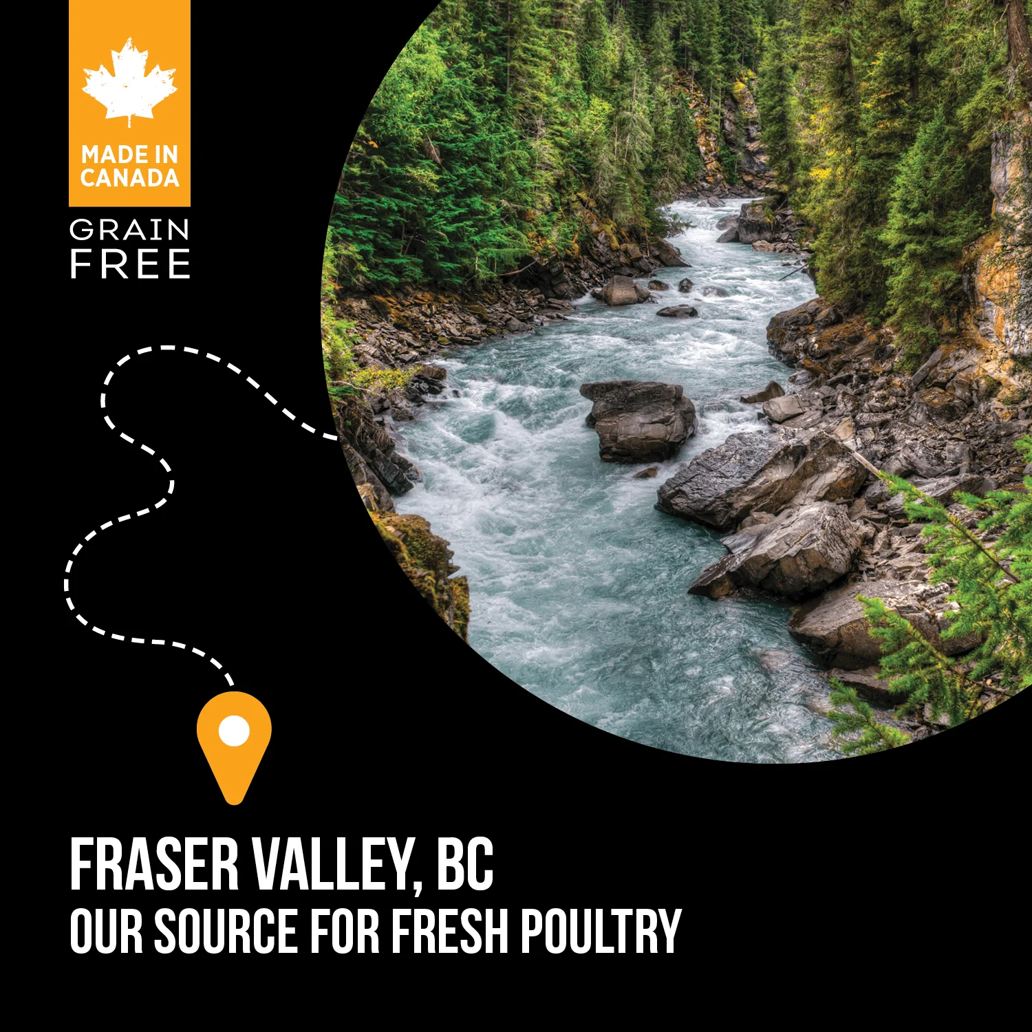 Nutrience Grain Free Dog Food Large Breed SubZero Fraser Valley - Image 5