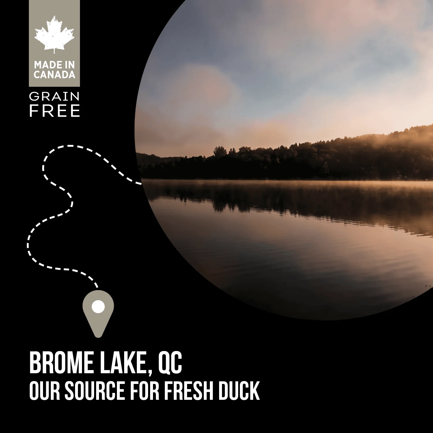 Nutrience Grain Free Dog Food SubZero Northern Lakes Duck - Image 5