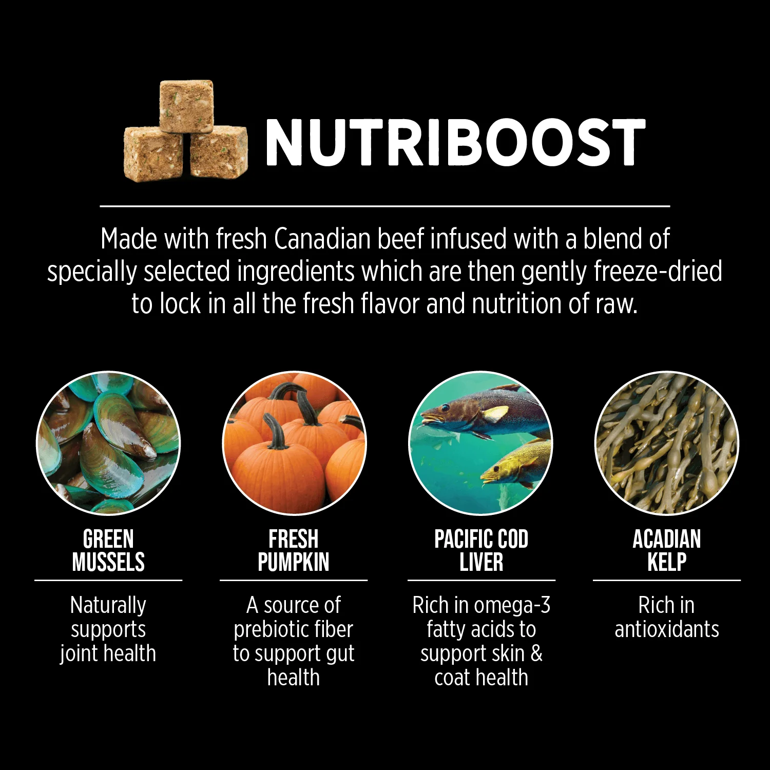 Nutrience Grain Free Dog Food SubZero Prairie Red - Image 4
