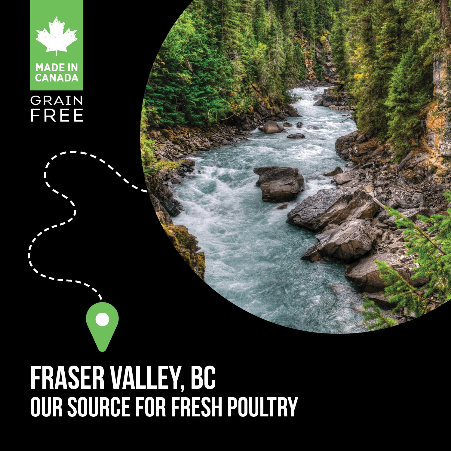 Nutrience Grain Free Puppy Food SubZero Fraser Valley - Image 4