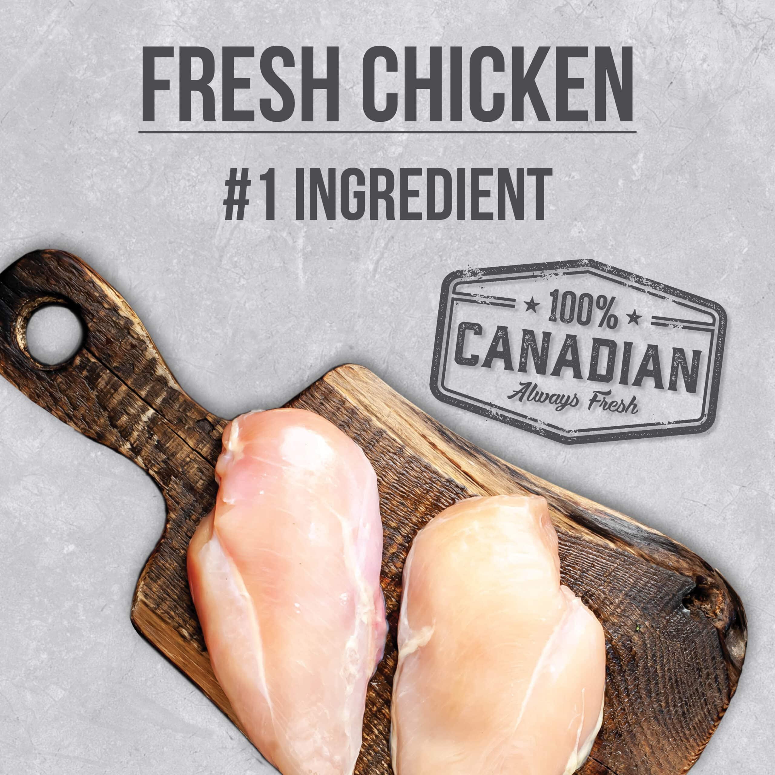 Nutrience Infusion Cat Food Healthy Senior Chicken Recipe - Image 4