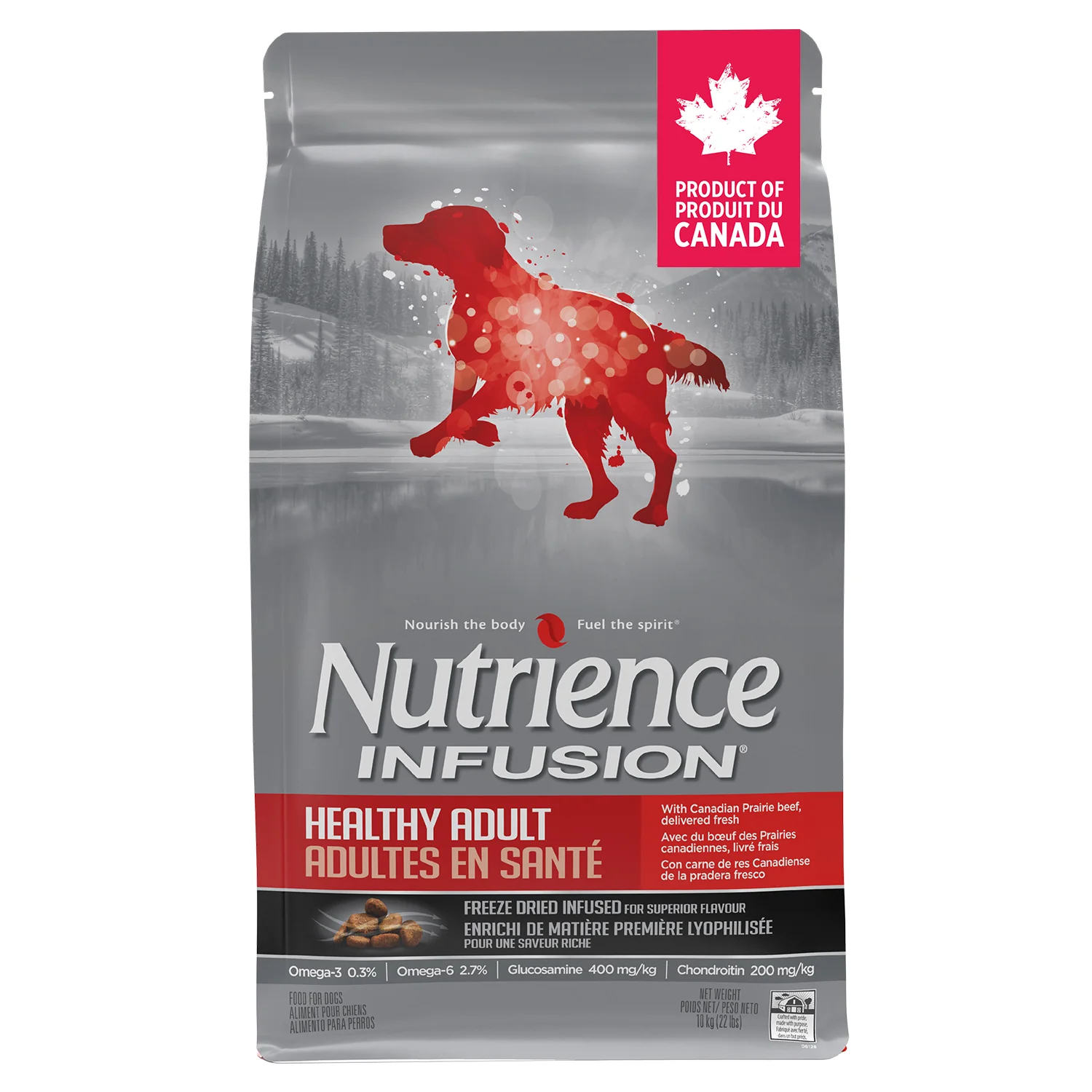 Nutrience Infusion Healthy Adult Beef Dry Dog Food