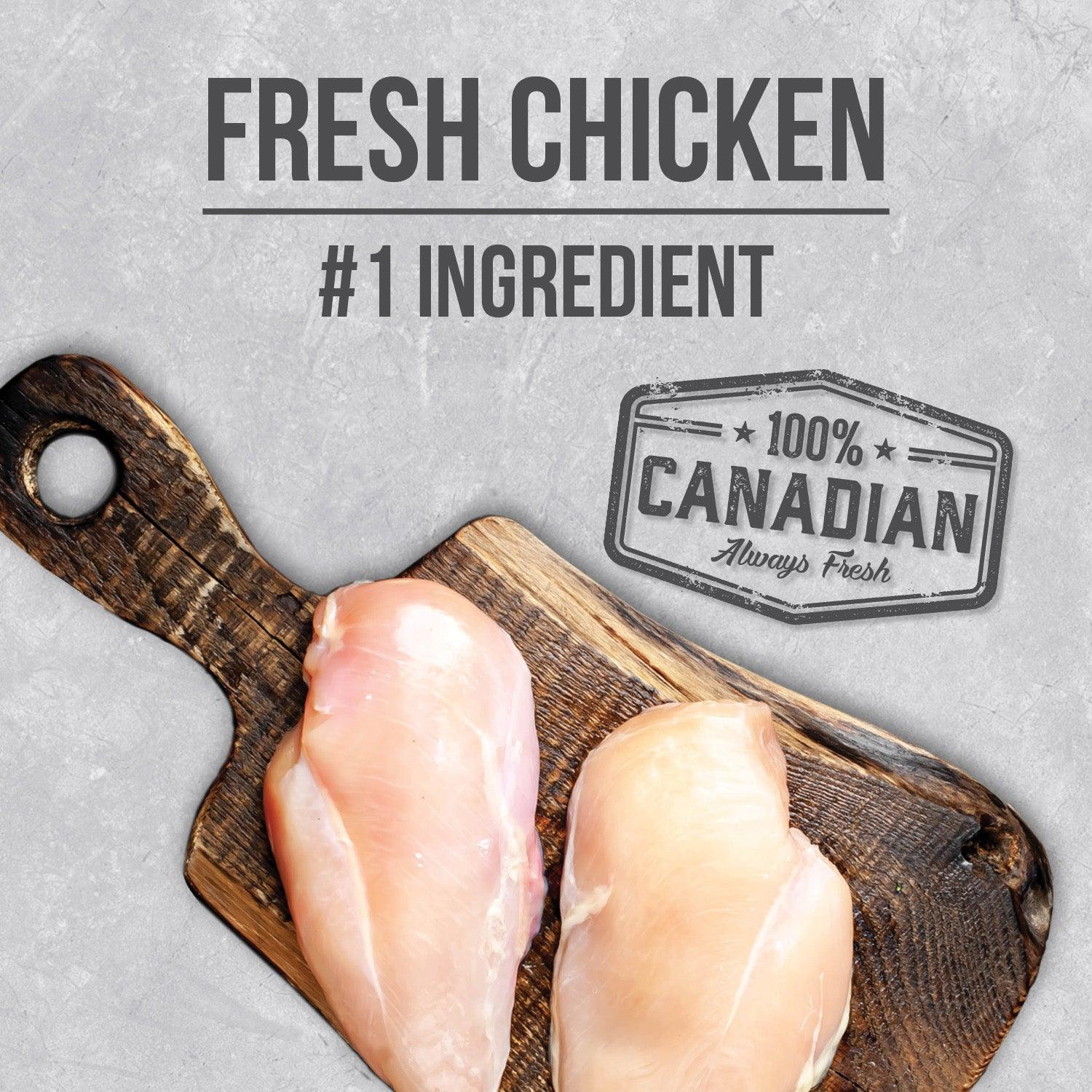 Nutrience Infusion Healthy Puppy Chicken - Image 5