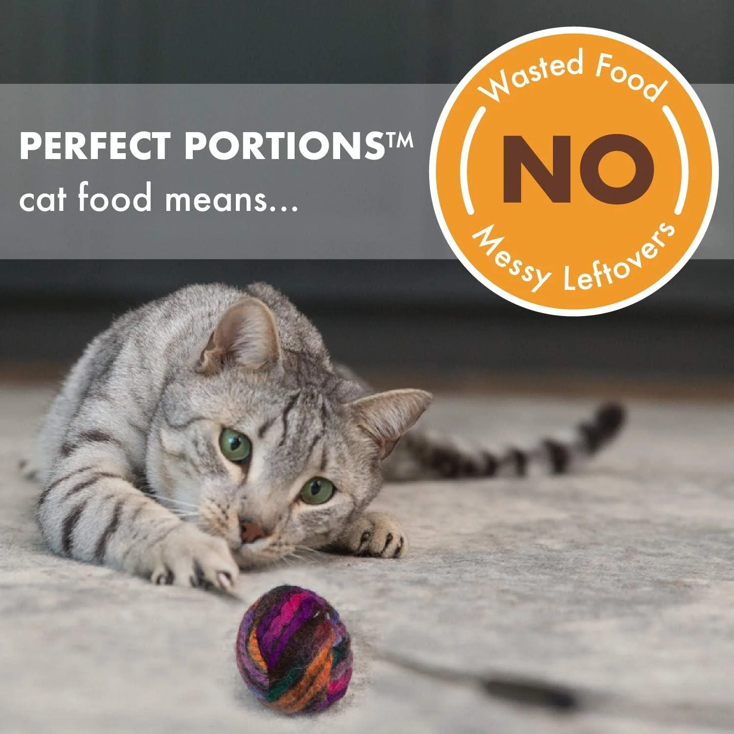 Nutro Perfect Portions Adult Wet Cat Food Grain Free Chicken Paté Entrées - Image 2