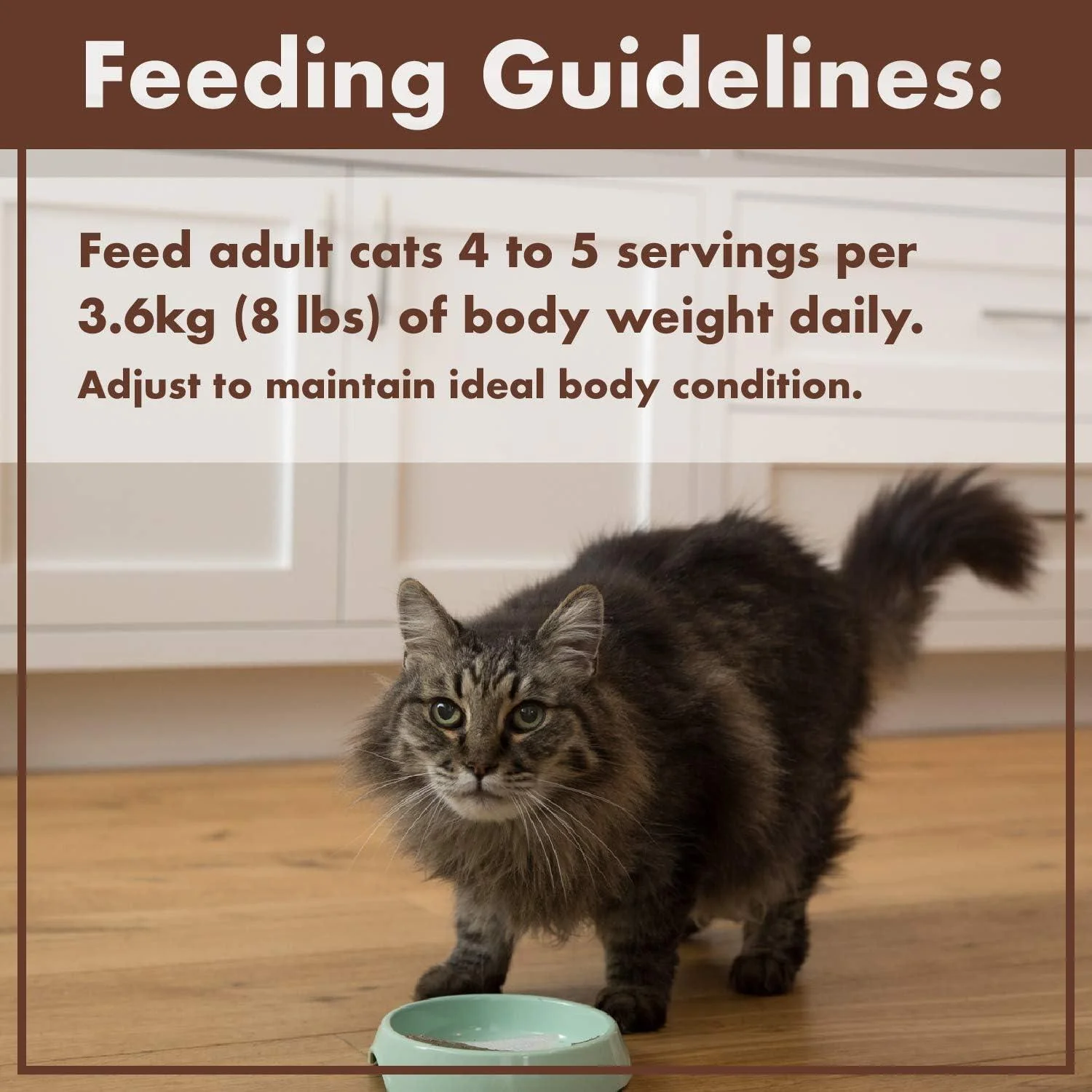 Nutro Perfect Portions Adult Wet Cat Food Grain Free Chicken Paté Entrées - Image 4