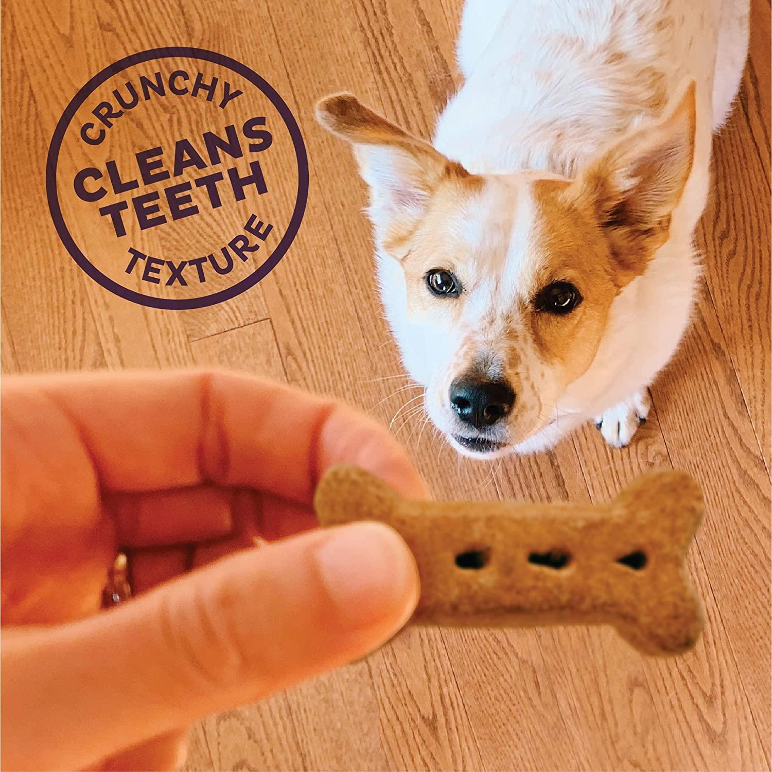 Old Mother Hubbard Classic P-Nuttier Natural Oven-Baked Biscuits Dog Treats - Image 5