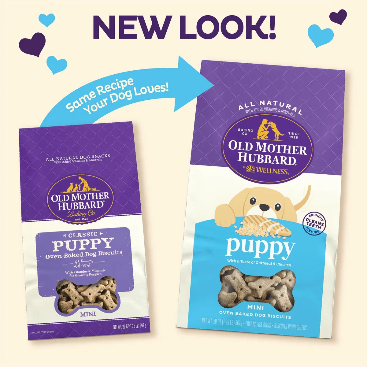 Old Mother Hubbard Classic Puppy Natural Mini Oven-Baked Biscuits Dog Treats - Image 3
