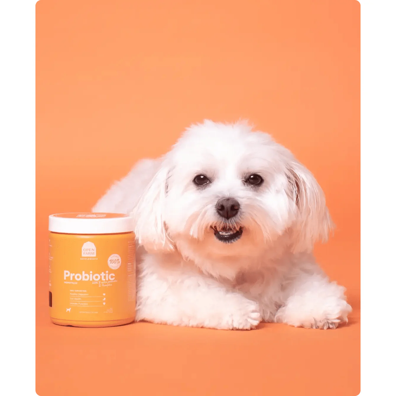 Open Farm Dog Supplement Probiotic Chews - Image 7
