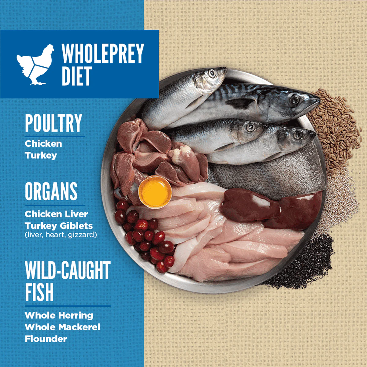 Orijen Amazing Grains Original Dry Dog Food Recipe - Image 4