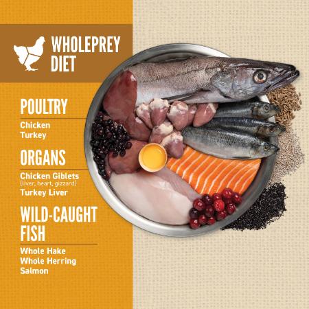 Orijen Amazing Grains Puppy Dry Food Recipe - Image 2