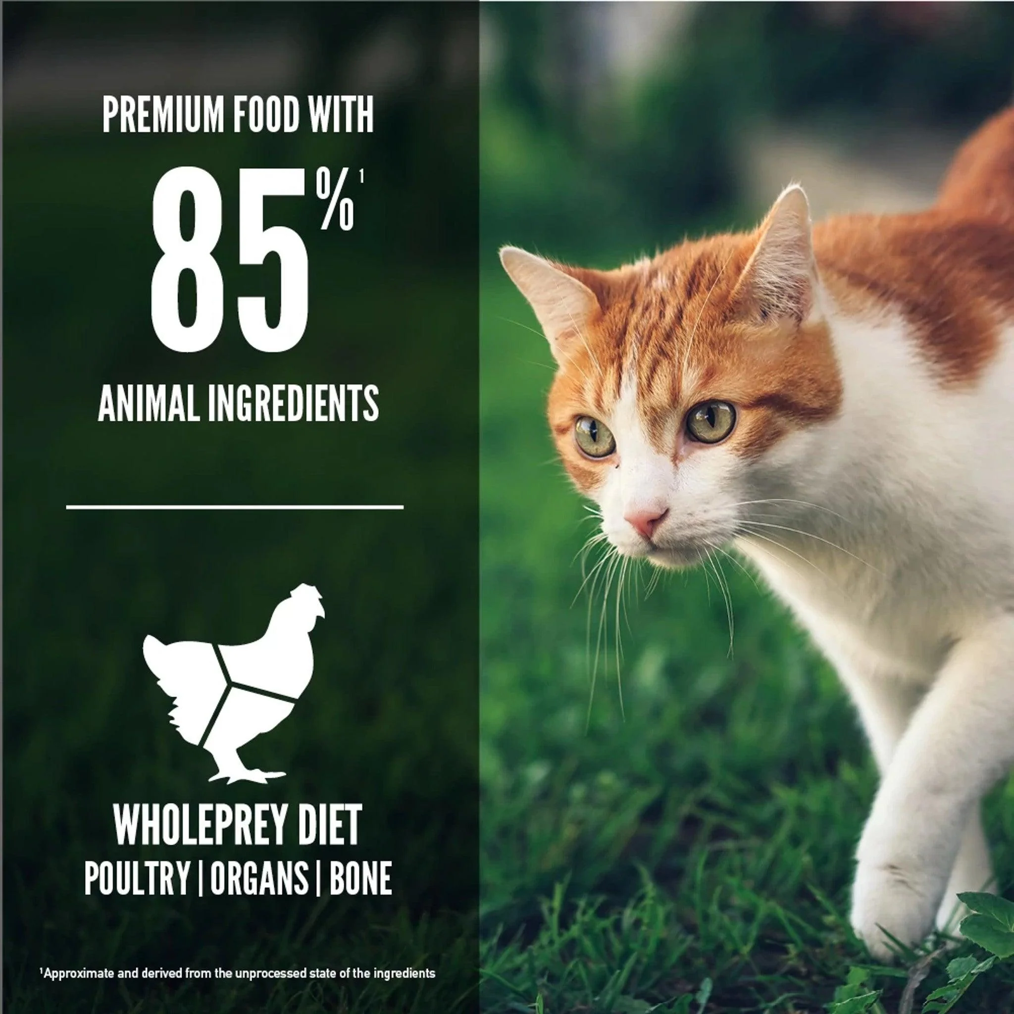 Orijen Fit & Trim Dry Cat Food Recipe - Image 3