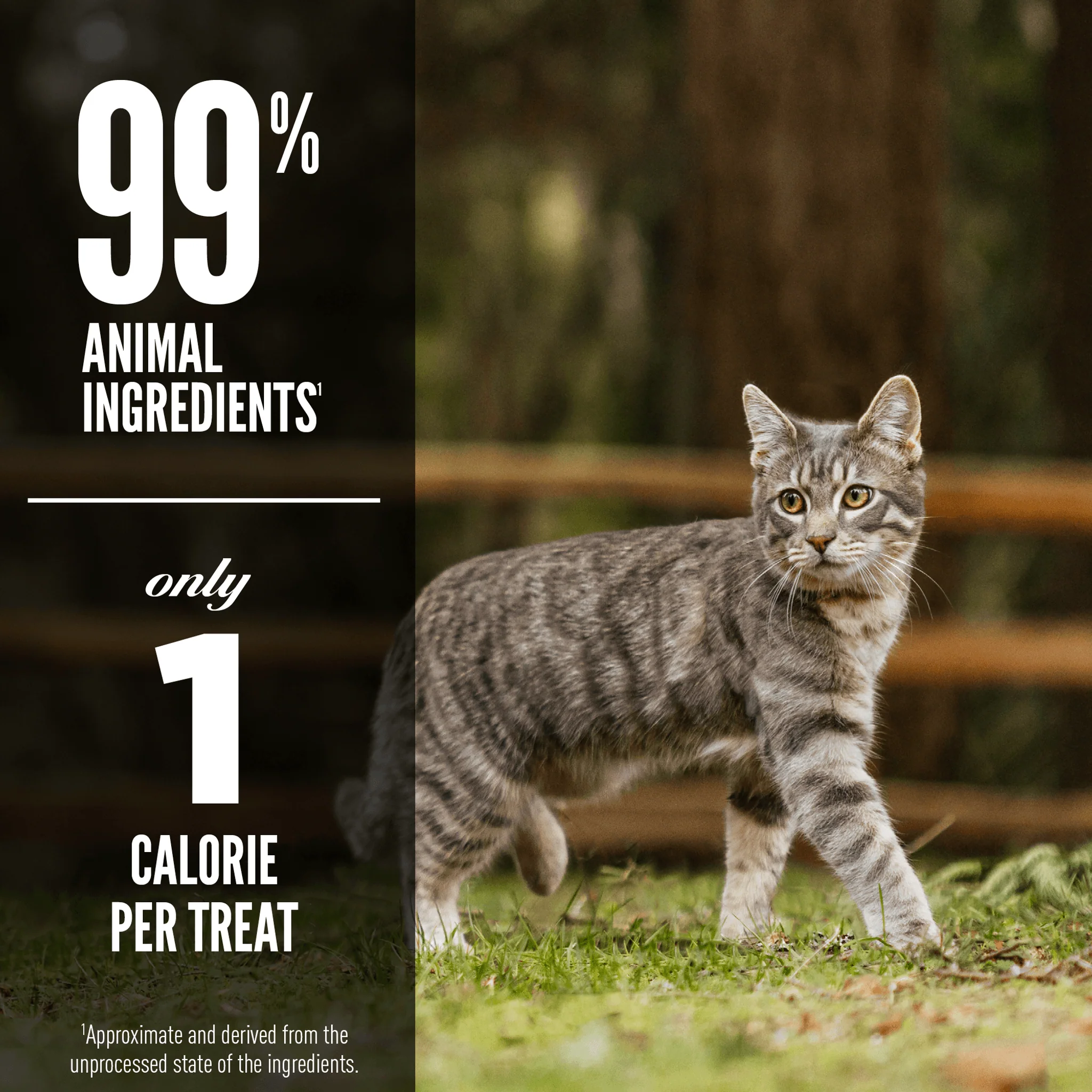 Orijen Freeze-Dried Cat Treats Original - Image 4