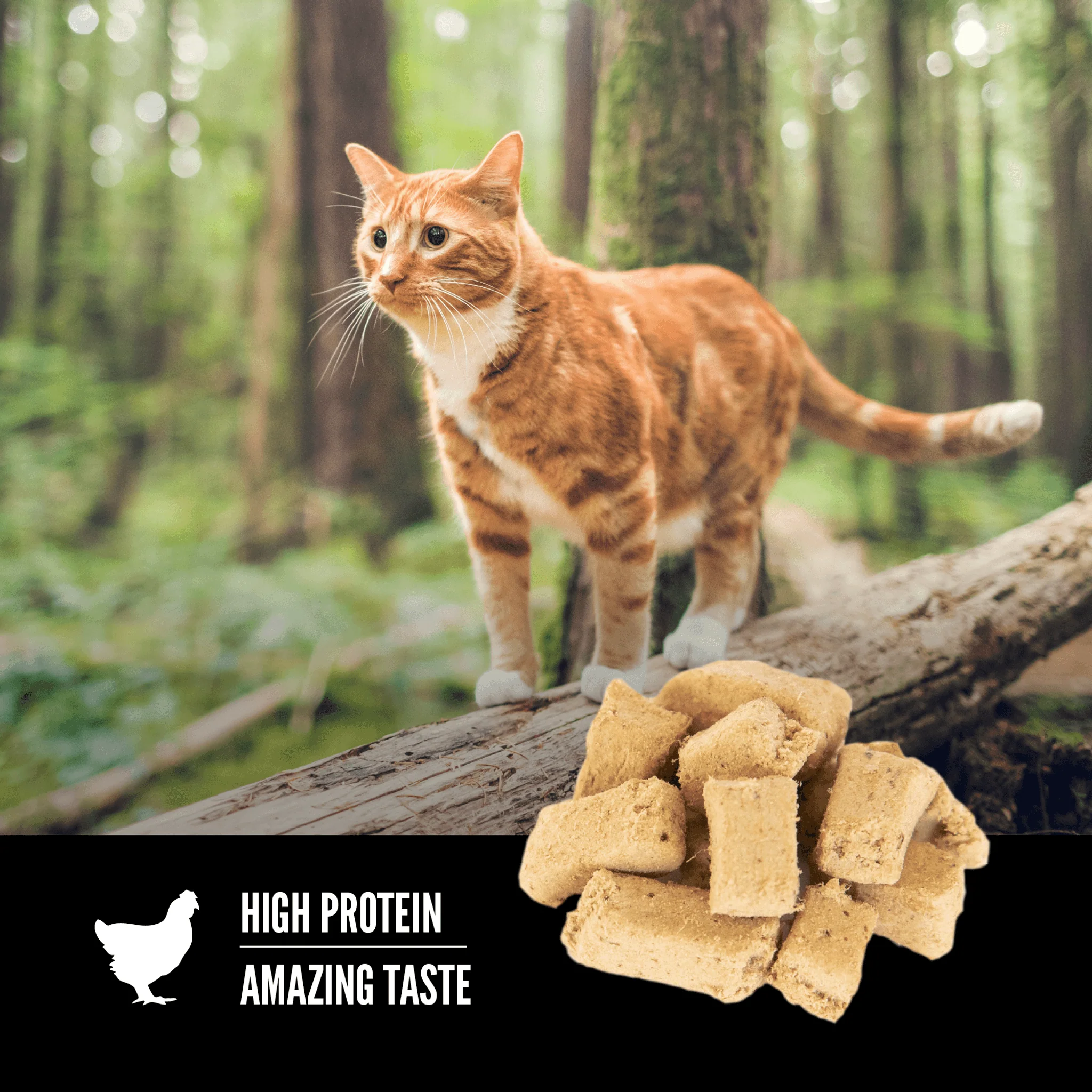 Orijen Freeze-Dried Cat Treats Original - Image 5