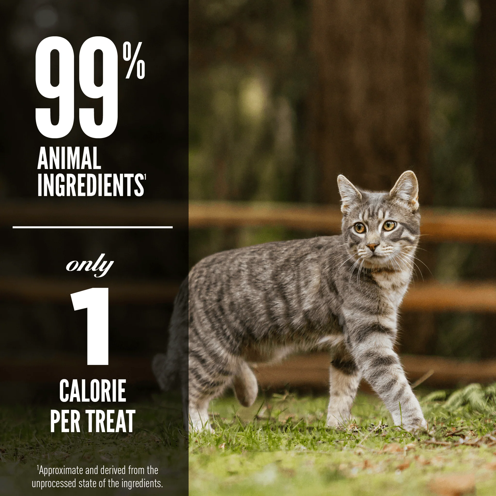 Orijen Freeze-Dried Cat Treats Regional Red - Image 4