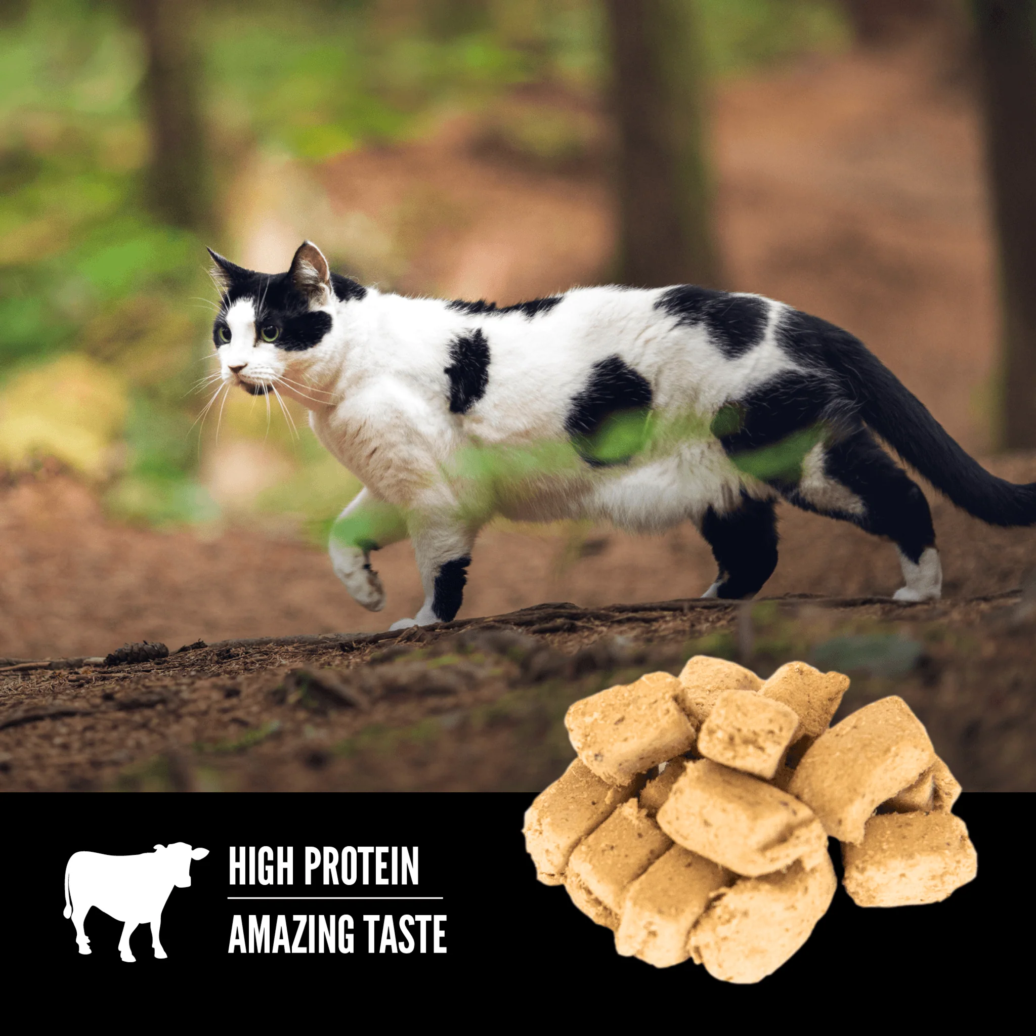 Orijen Freeze-Dried Cat Treats Regional Red - Image 5