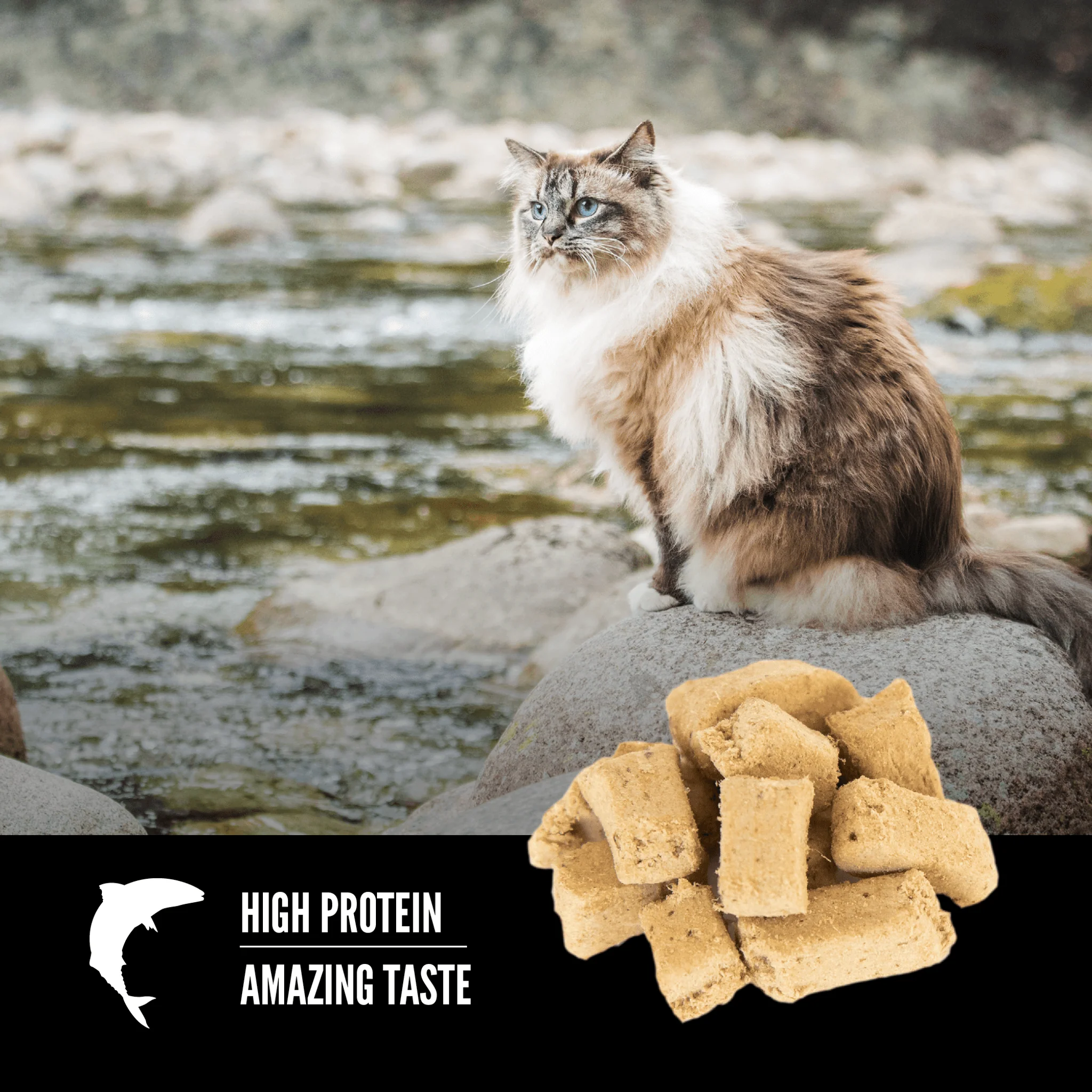Orijen Freeze-Dried Cat Treats Six Fish - Image 5
