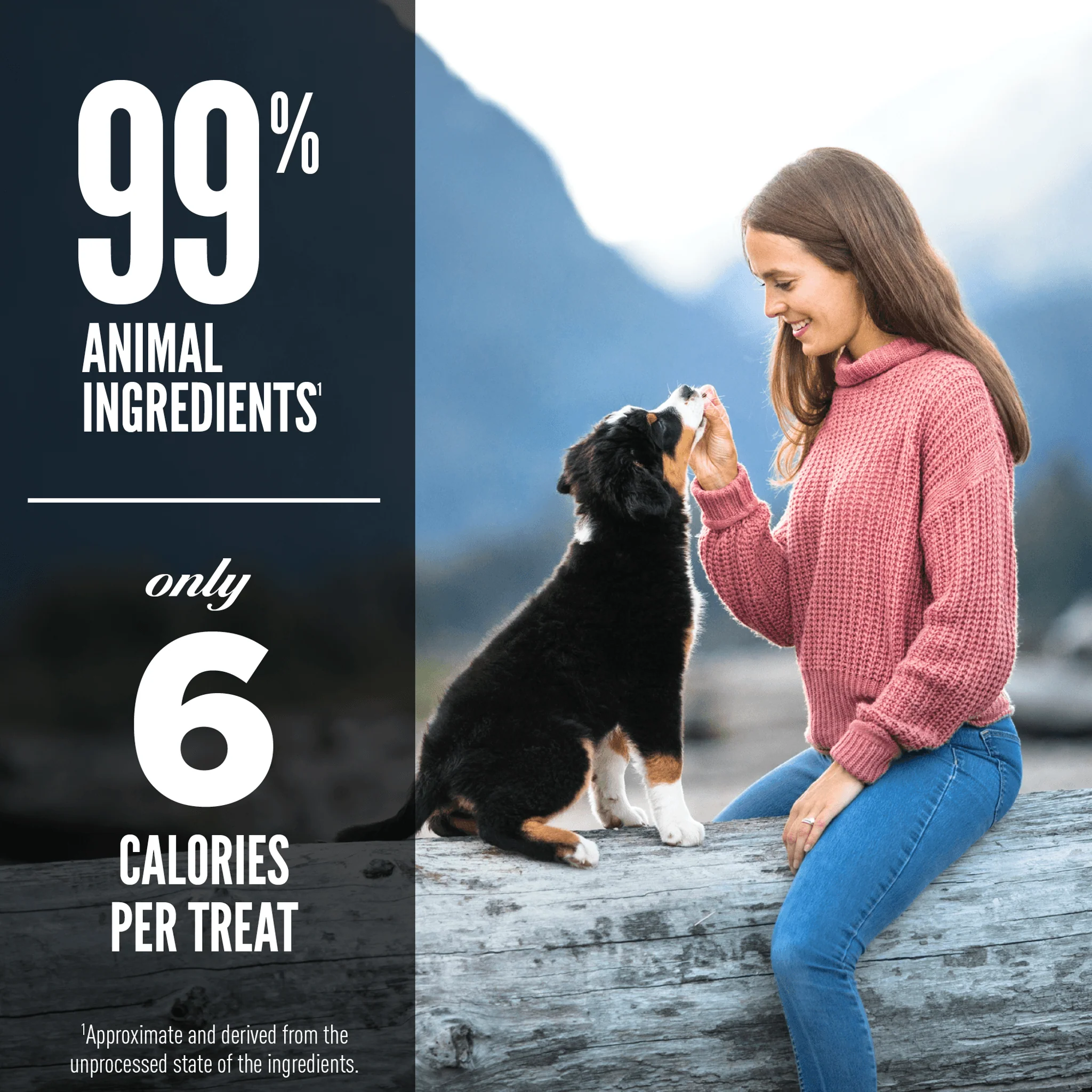 Orijen Freeze-Dried Dog Treats Free-Run Duck Formula - Image 4