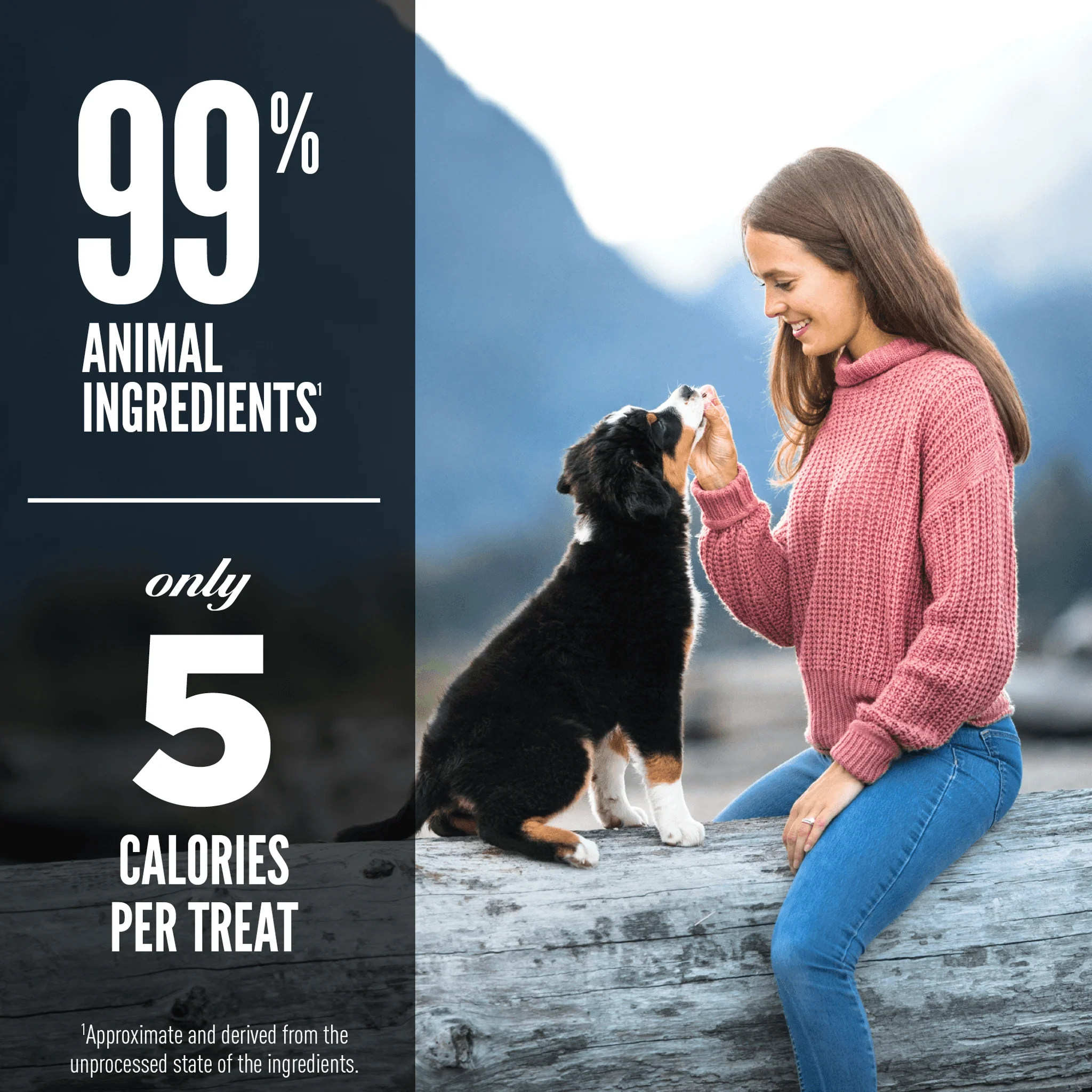 Orijen Freeze-Dried Dog Treats Ranch-Raised Beef Formula - Image 4