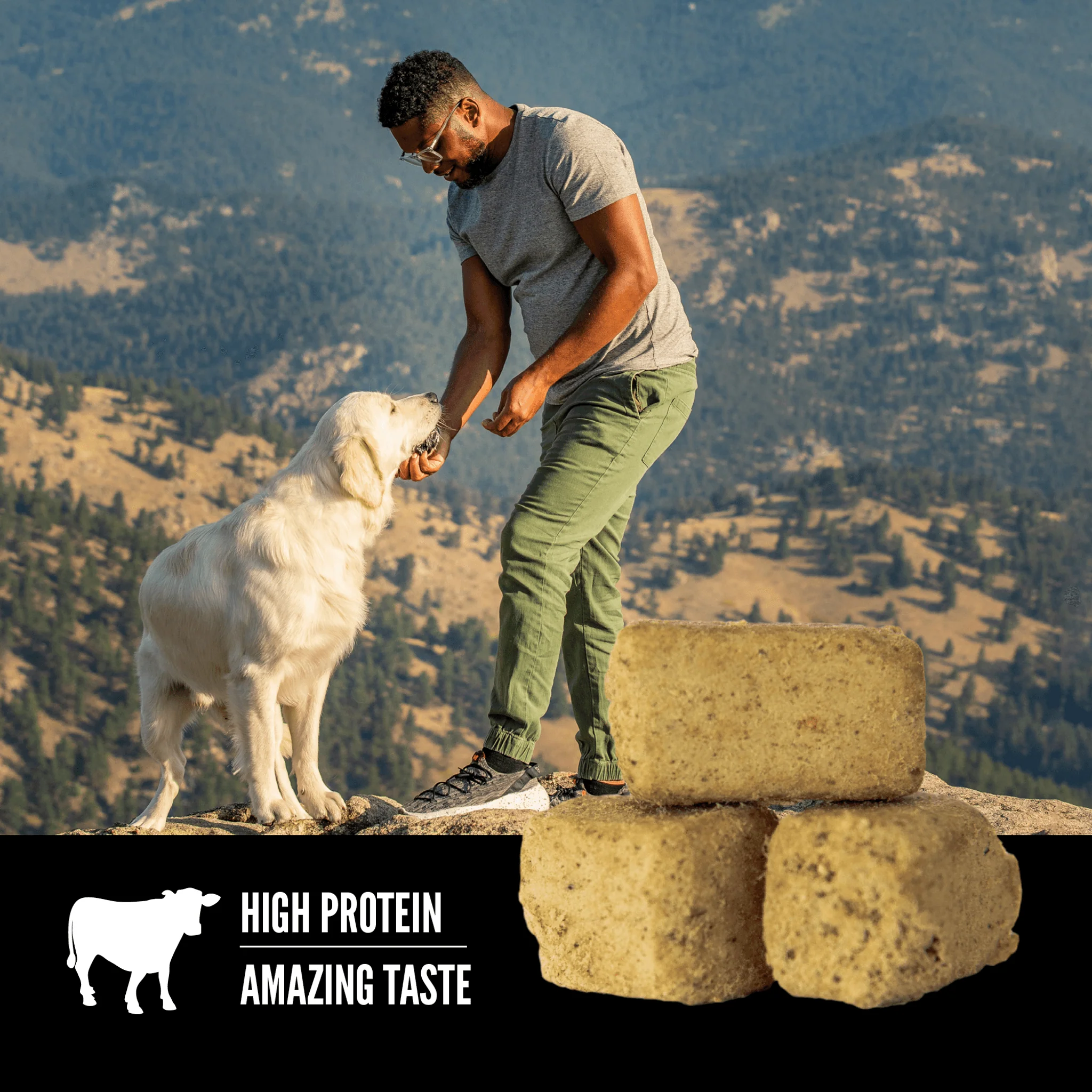 Orijen Freeze-Dried Dog Treats Ranch-Raised Beef Formula - Image 5