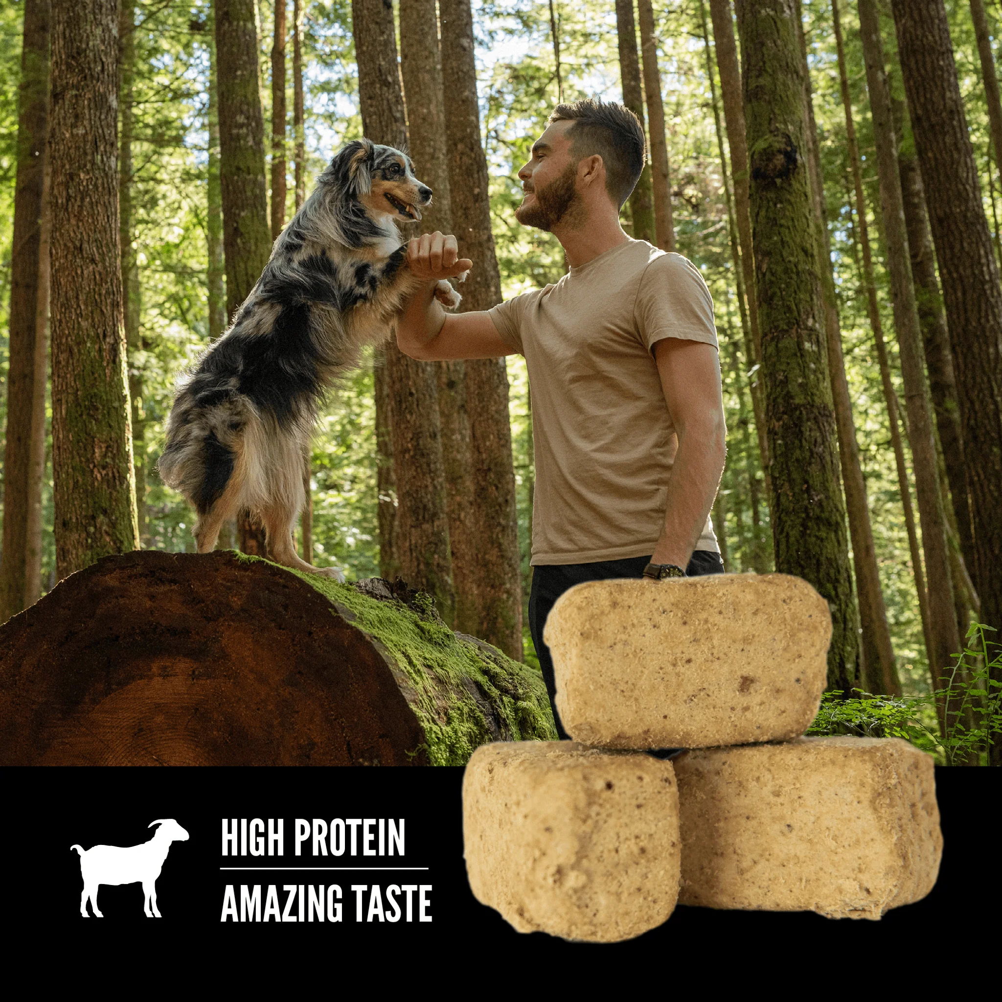 Orijen Freeze-Dried Dog Treats Tundra - Image 5