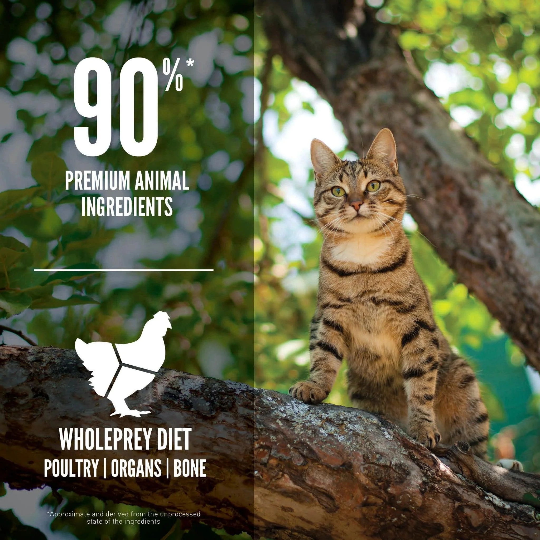 Orijen Guardian 8 Dry Cat Food Recipe - Image 6