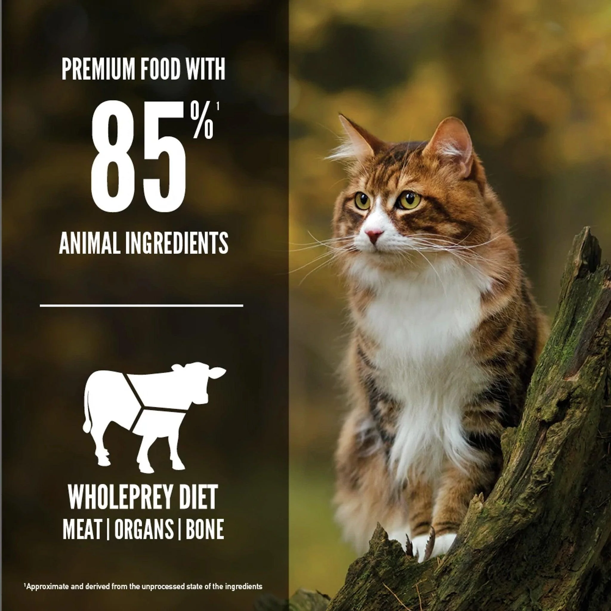 Orijen Regional Red Dry Cat Food Recipe - Image 3