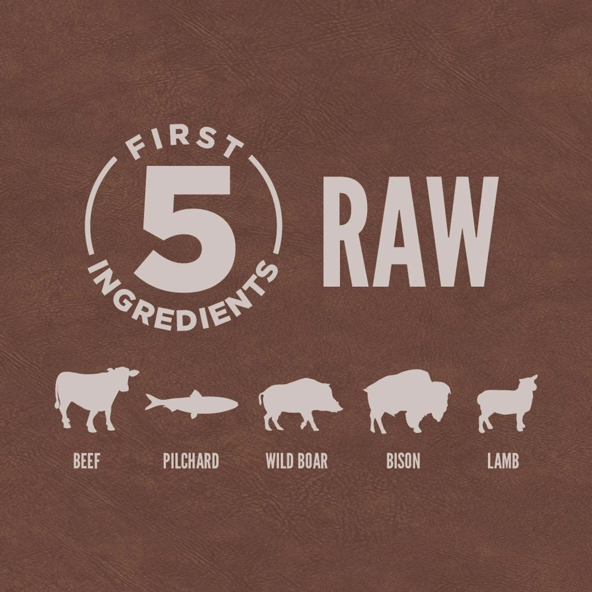 Orijen Regional Red Dry Cat Food Recipe - Image 4