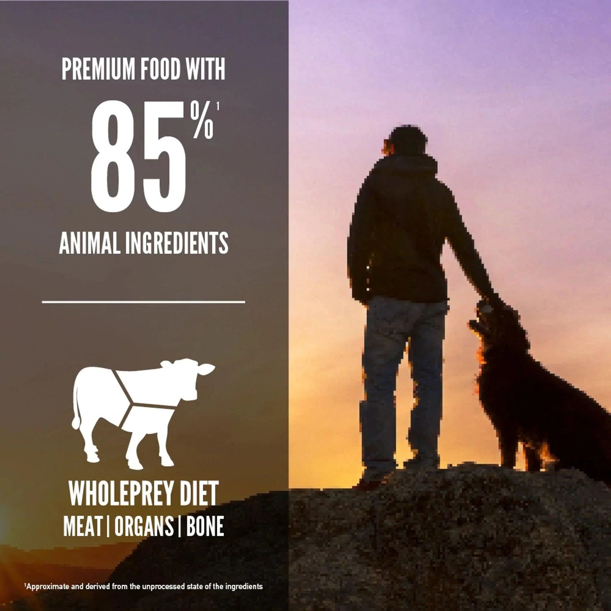 Orijen Regional Red Dry Dog Food Recipe - Image 3