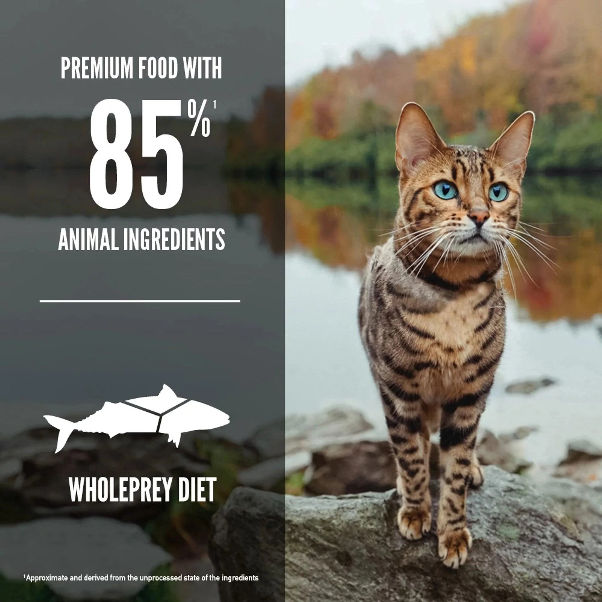 Orijen Six Fish Dry Cat Food Recipe - Image 4