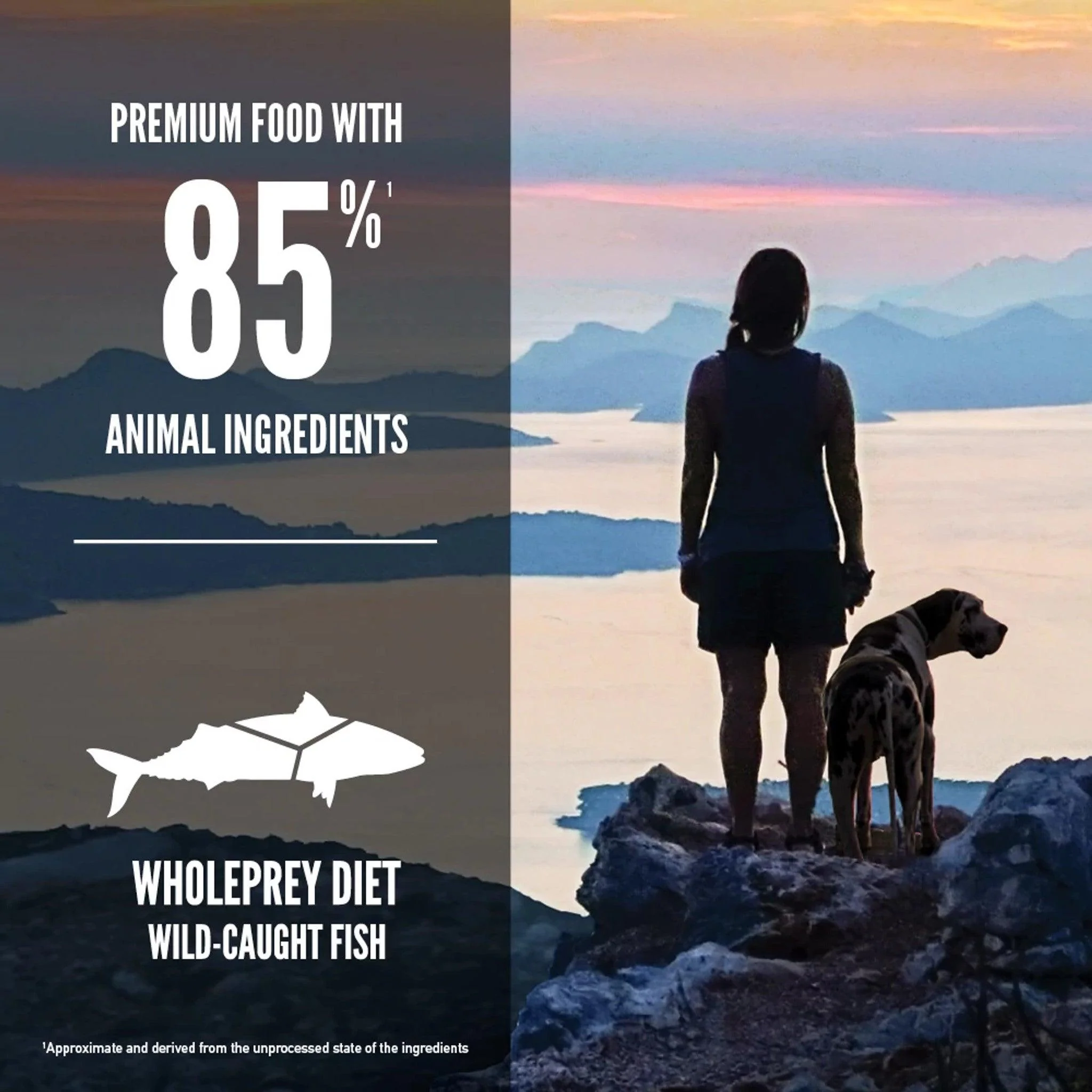 Orijen Six Fish Dry Dog Food Recipe - Image 3