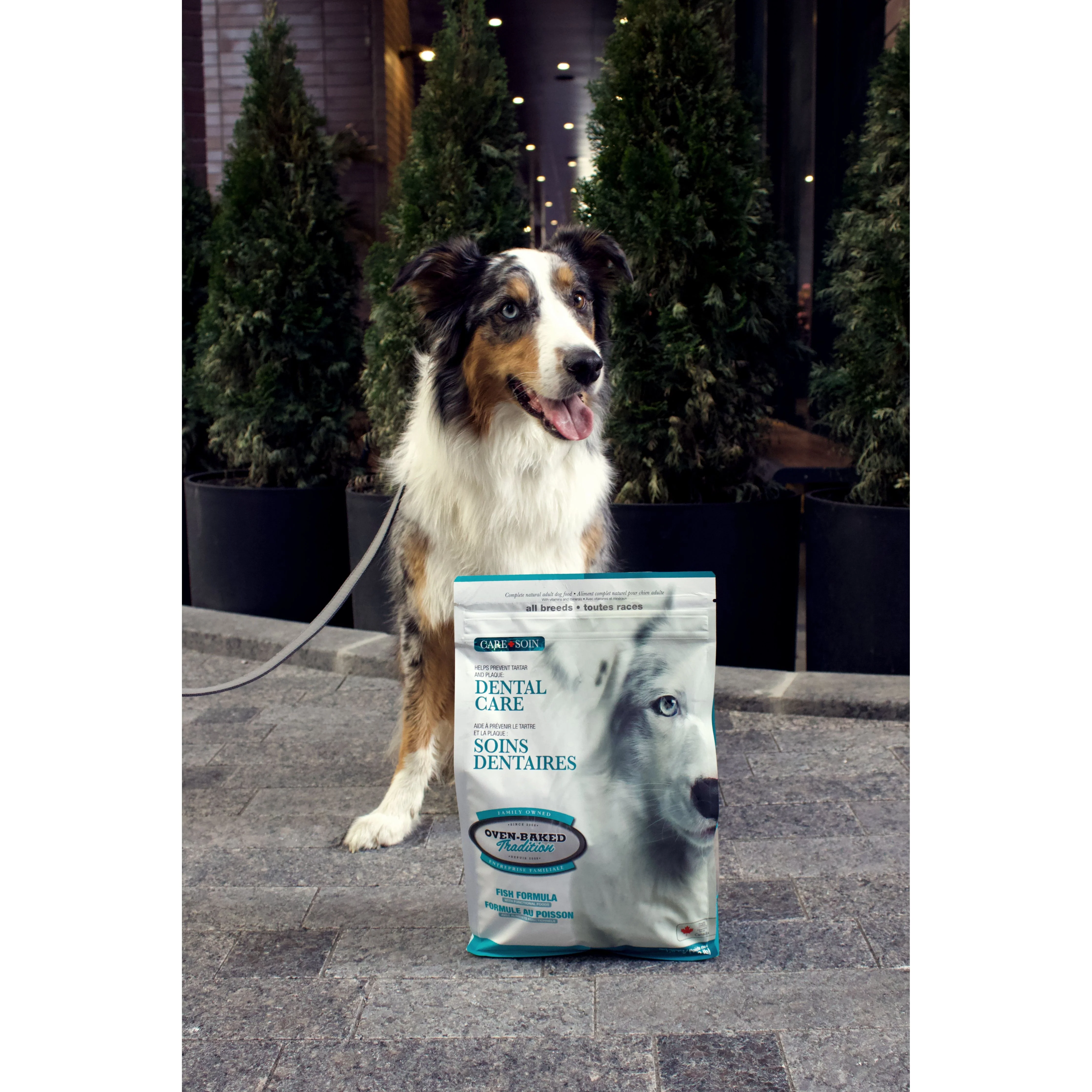 Oven Baked Tradition Dental Care Dry Food For Adult Dogs - Image 2
