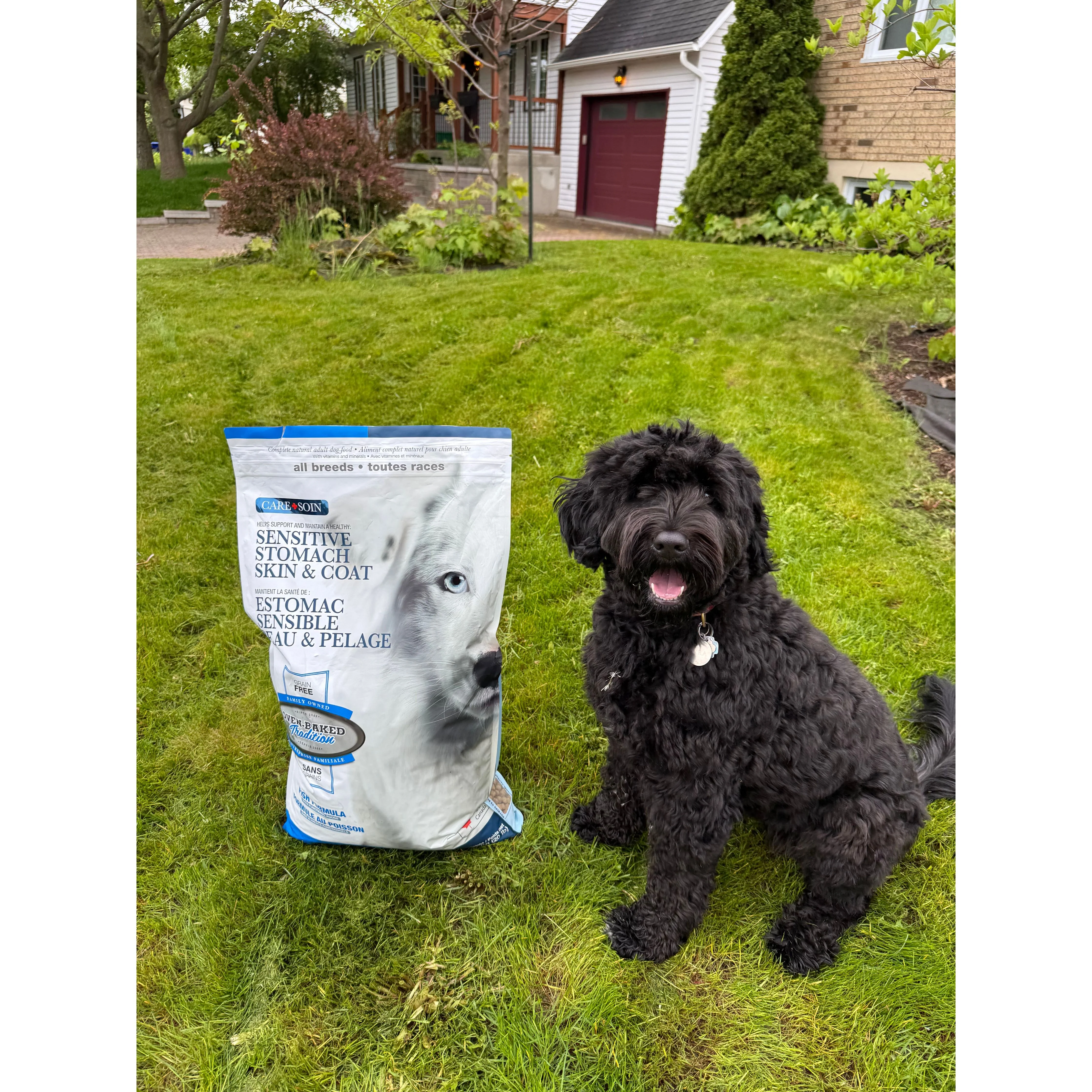 Oven Baked Tradition Sensitive Stomach, Skin, and Coat Dry Food For Adult Dogs - Image 2
