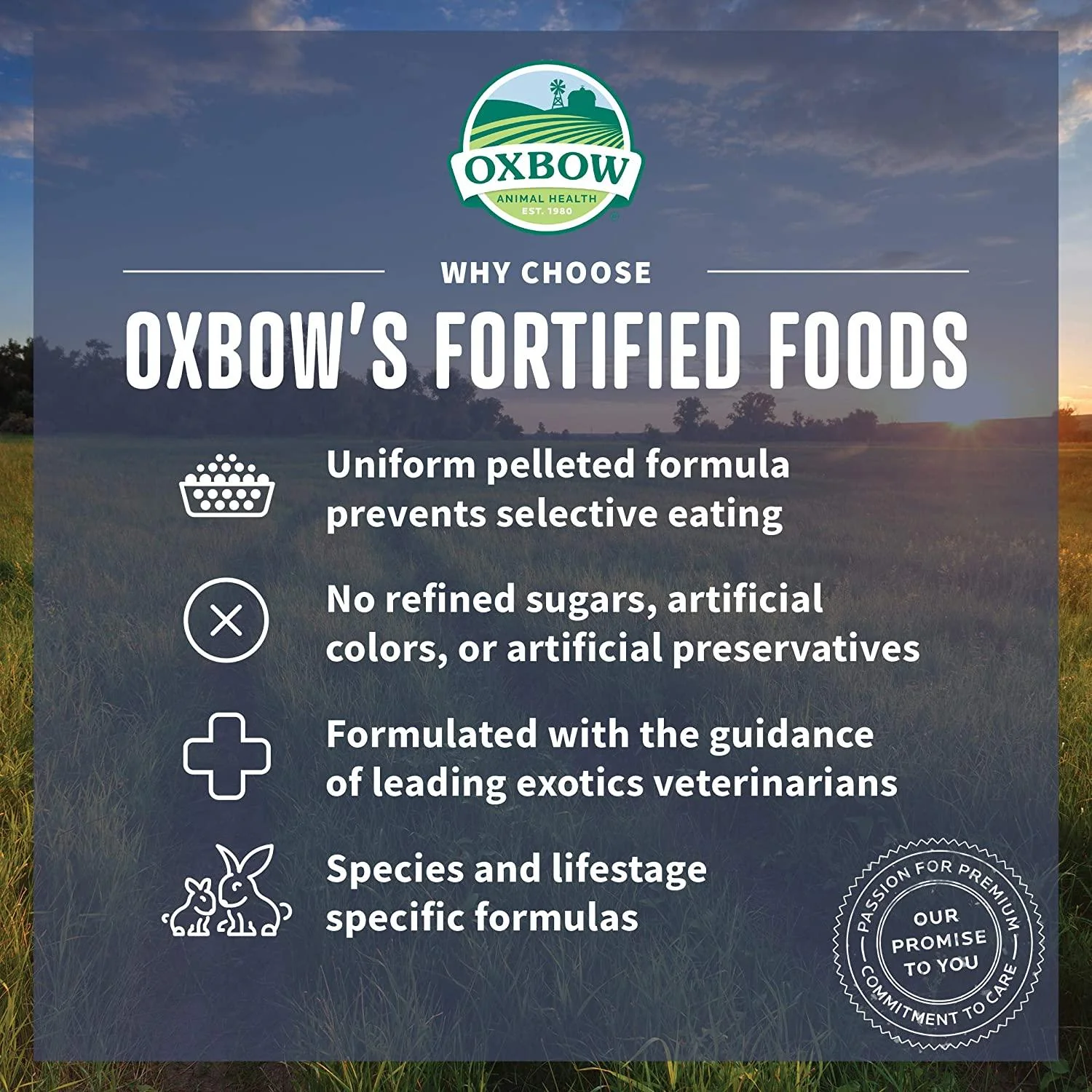 Oxbow All Natural Essentials Chinchilla Food - Image 3