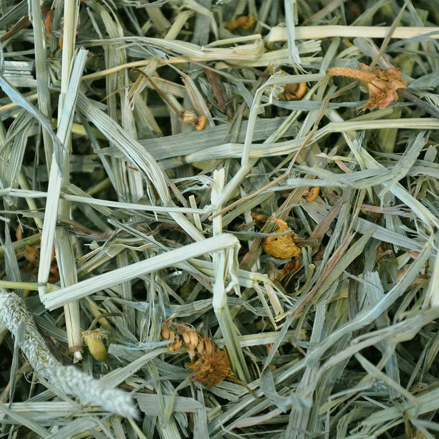Oxbow Botanical Hay - Image 5