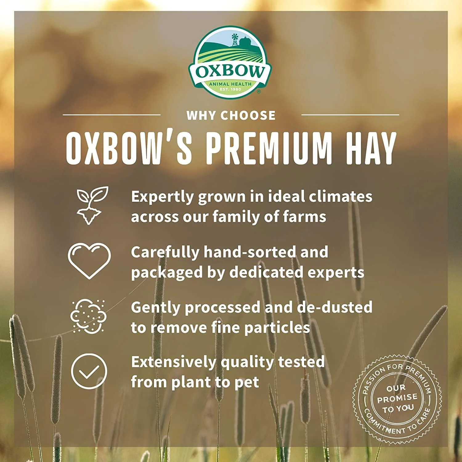 Oxbow Oat Hay - Image 4