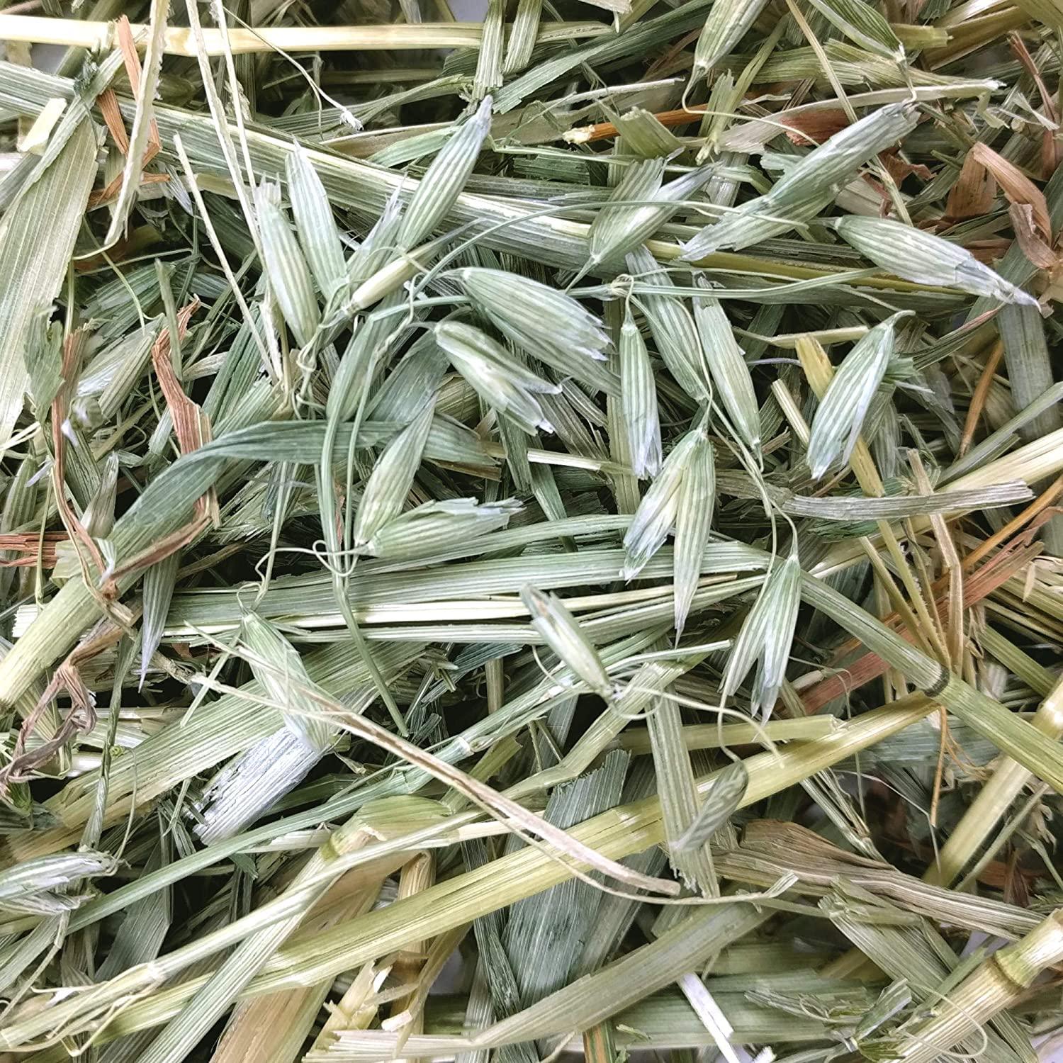 Oxbow Oat Hay - Image 5