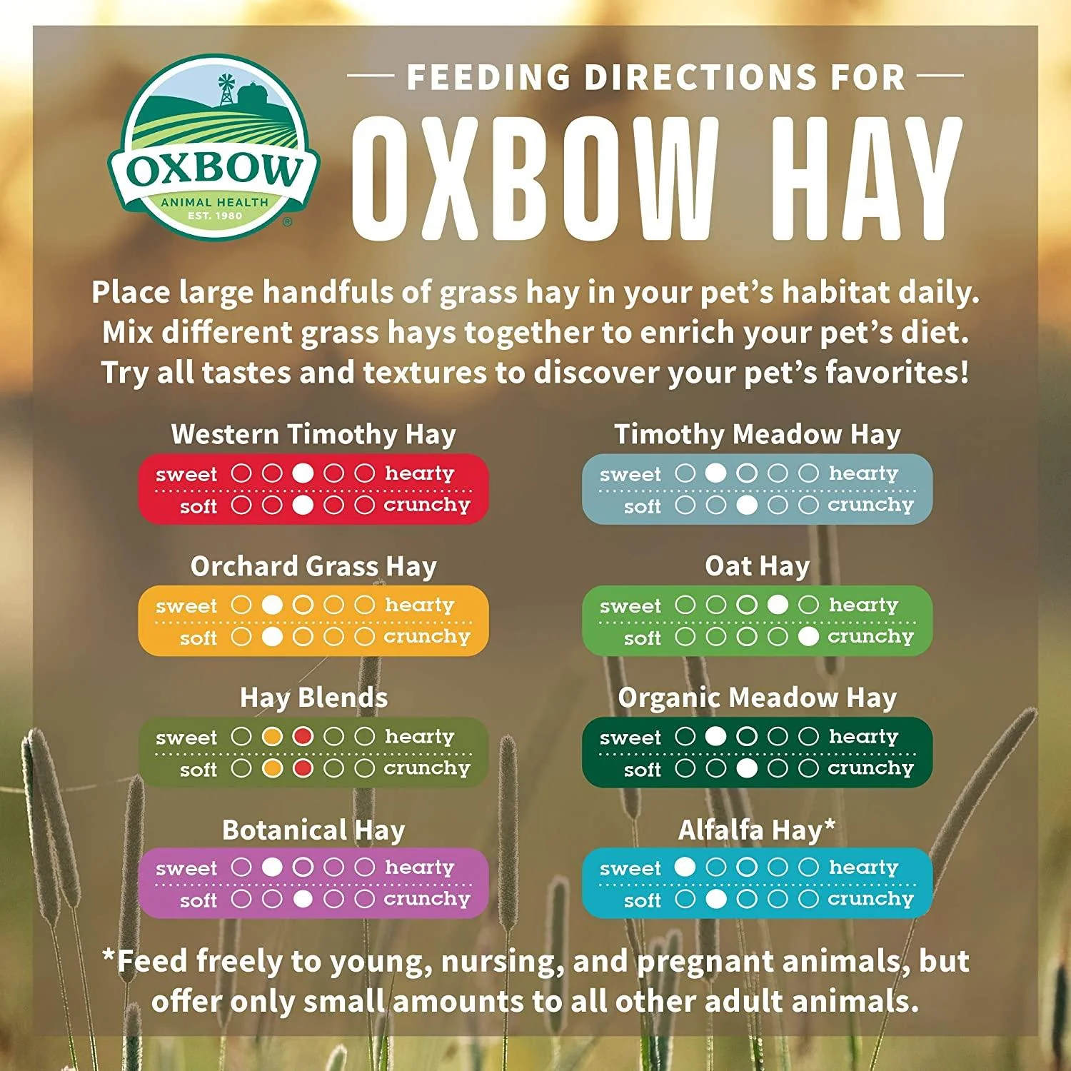 Oxbow Small Animal Health Western Timothy Hay - Image 4