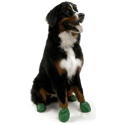 Pawz Dog Boots - Image 4
