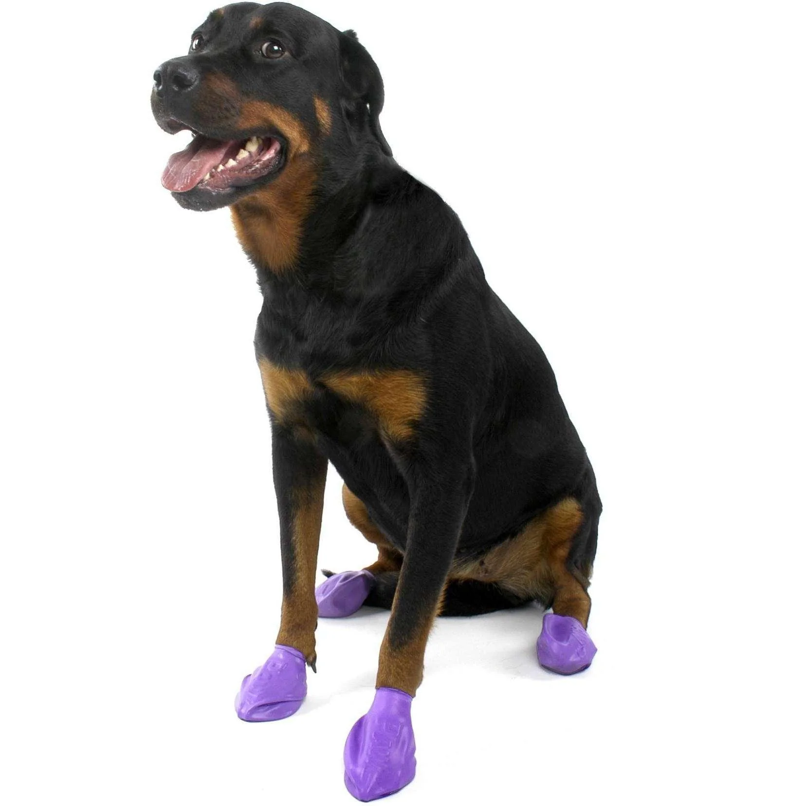 Pawz Dog Boots - Image 5