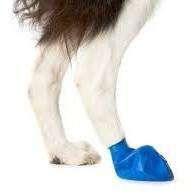 Pawz Dog Boots - Image 6